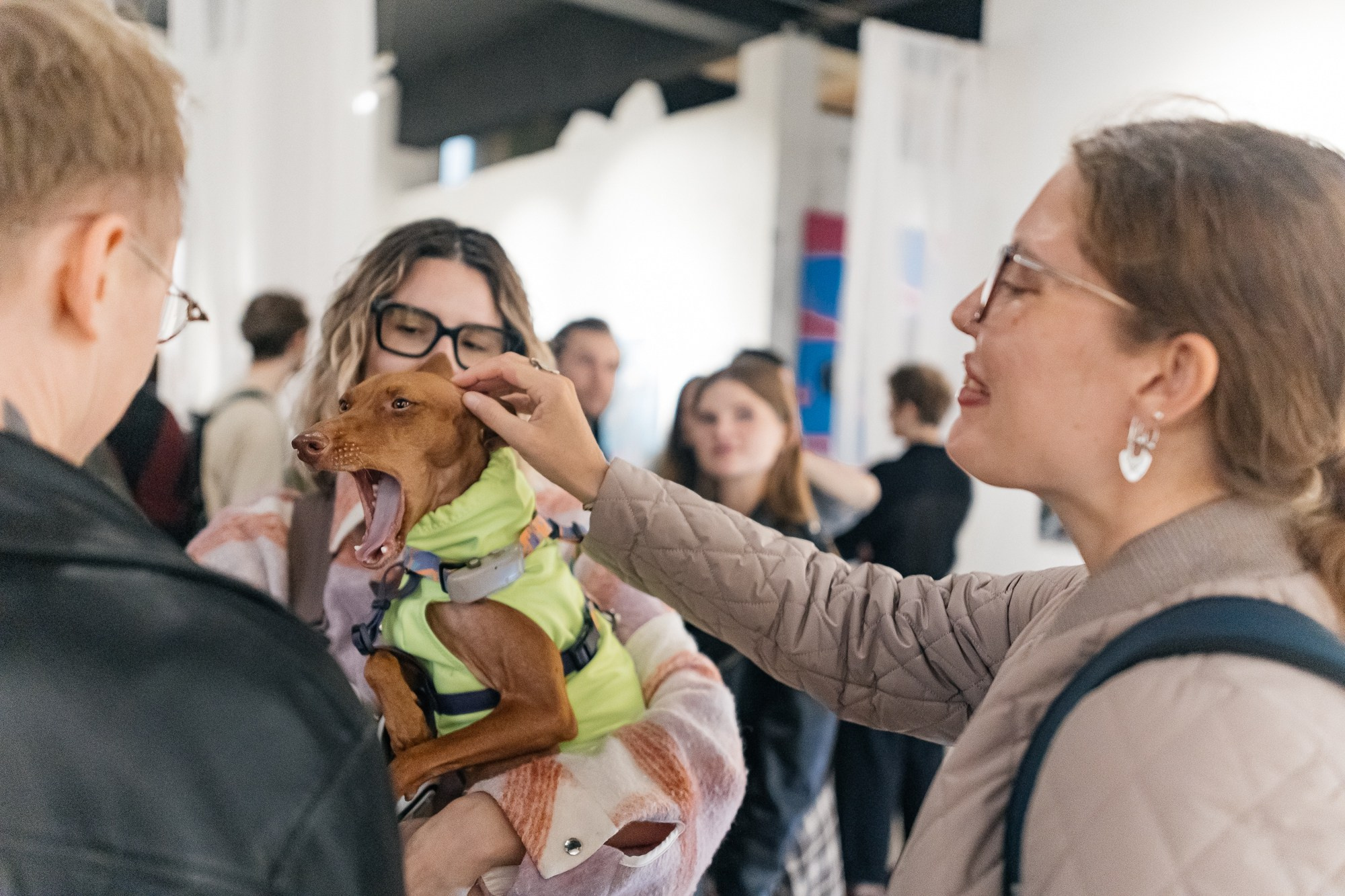 IZZI ROOM | Открытие выставки | май 2025. Репортажный фотограф в Санкт-Петербурге СПБ Алиса Ческидова на ваше мероприятие