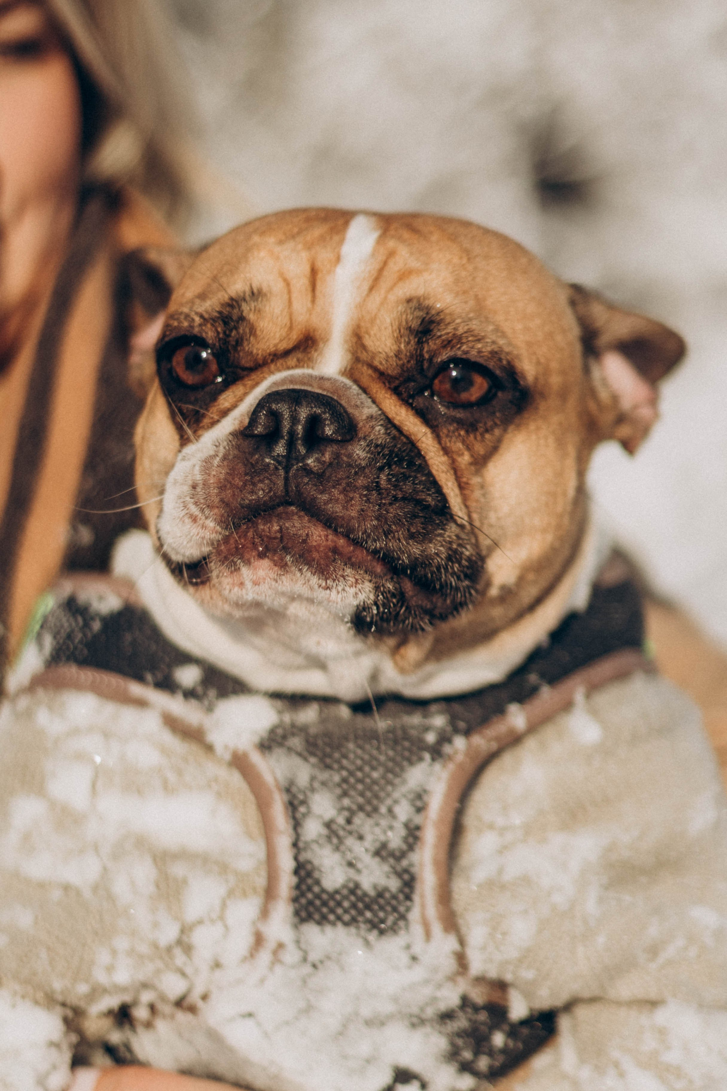Зима. Семейный фотограф Наталия Демченко, Краснодар