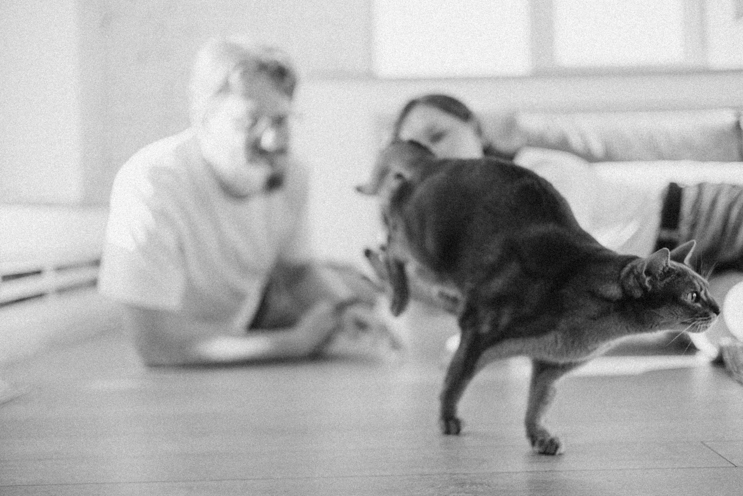 Циско и его семья. Фотограф — Анималист | Санкт-Петербург