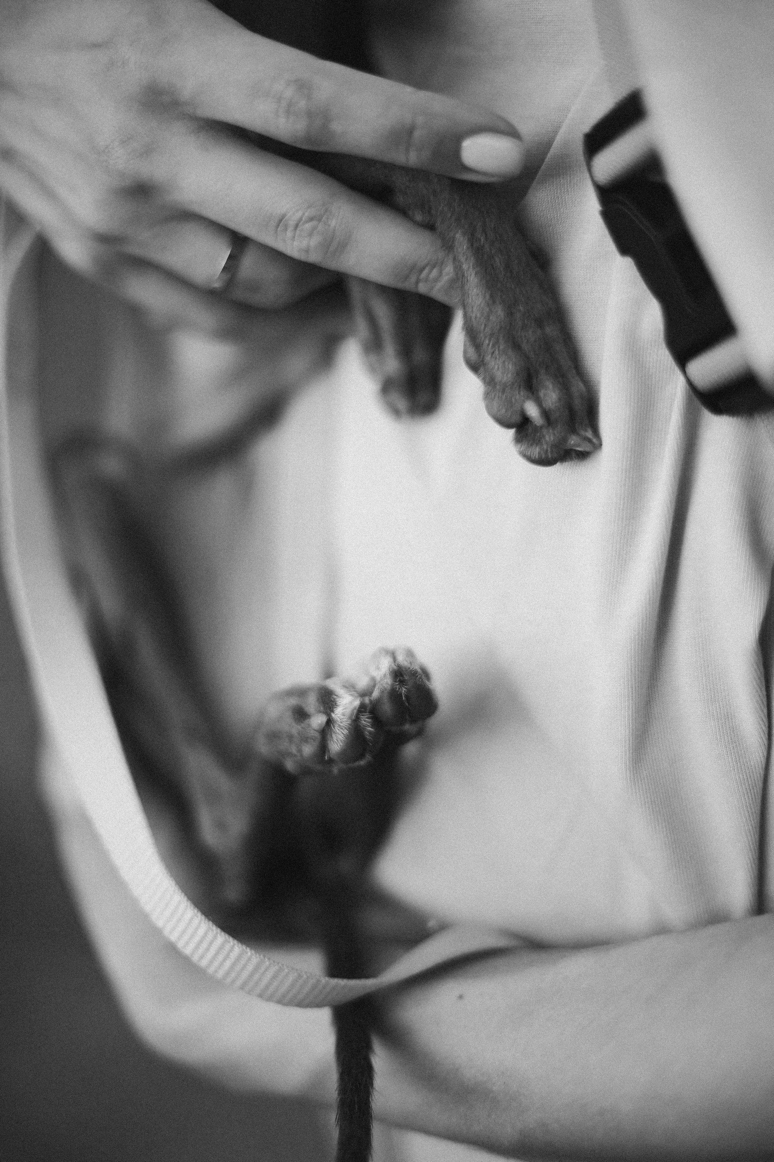 Таня, Саша, Мыша. Фотограф Екатерина Максимова: семейные, индивидуальные съемки, свадьбы