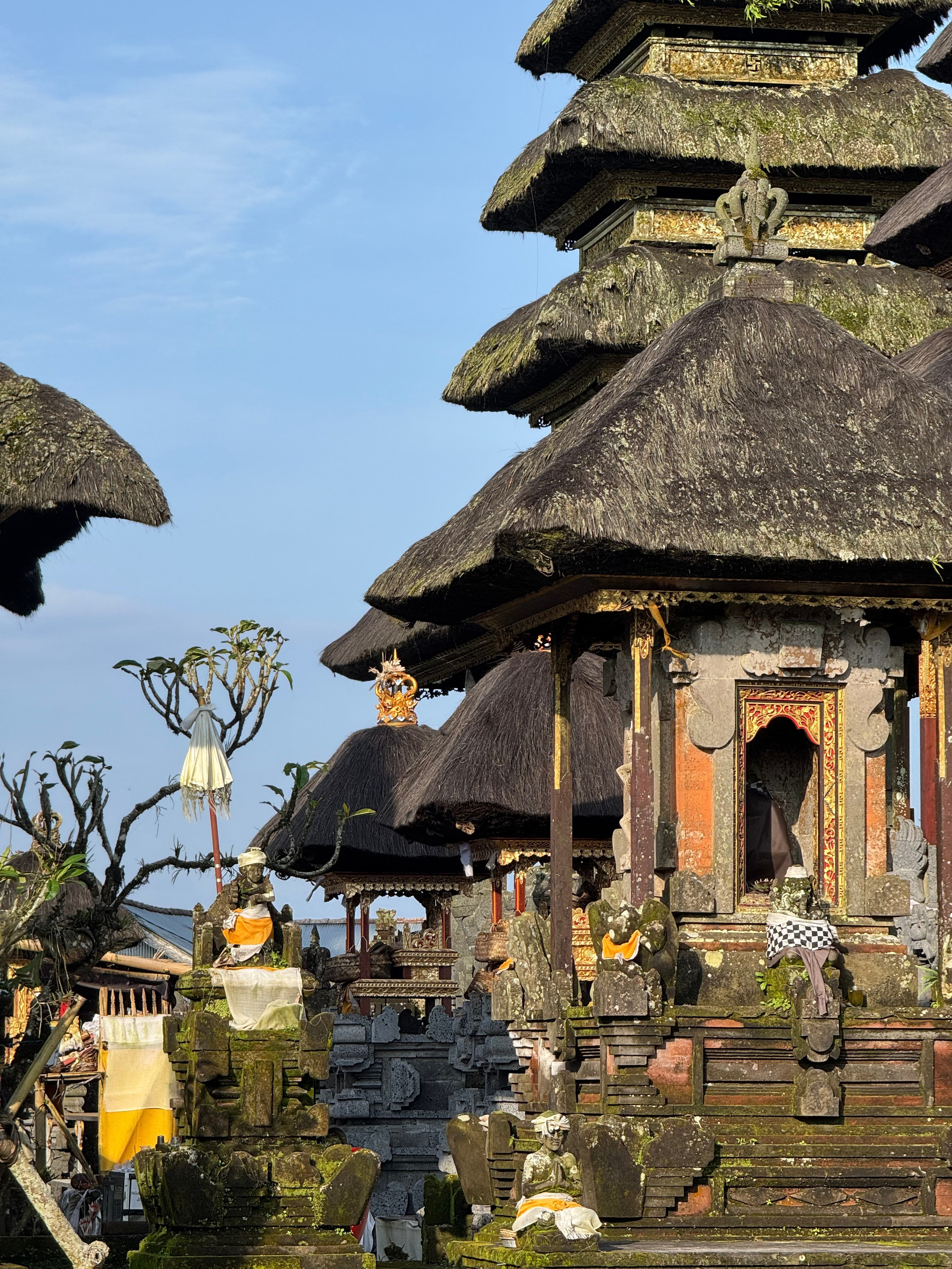 Бали. Убуд 2025. А вот и да!