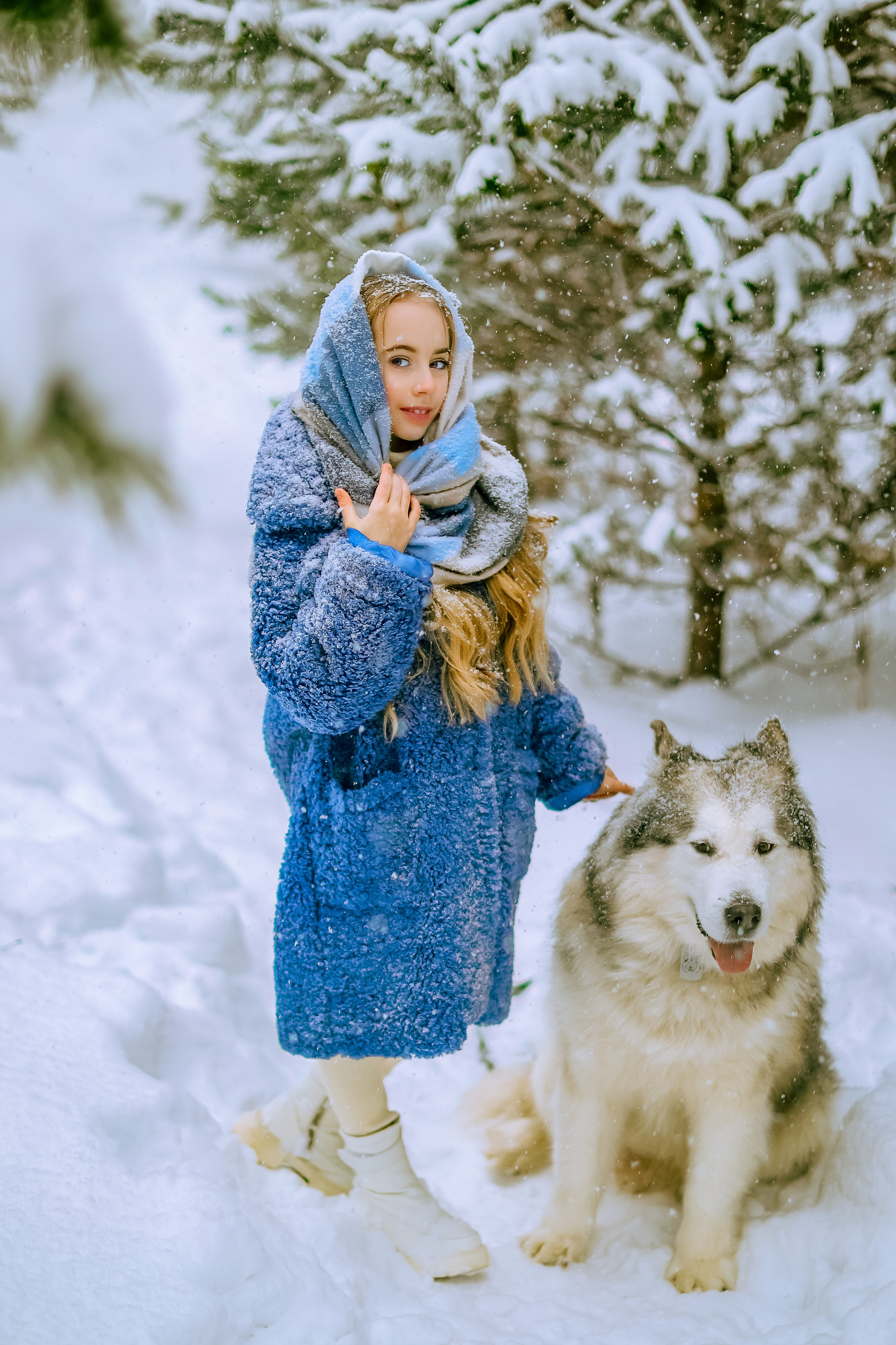 София и аляскинский маламут. Фото и видео Москва, Московский. Свадебный фотограф, видеограф, фотосессии, видеосъемка