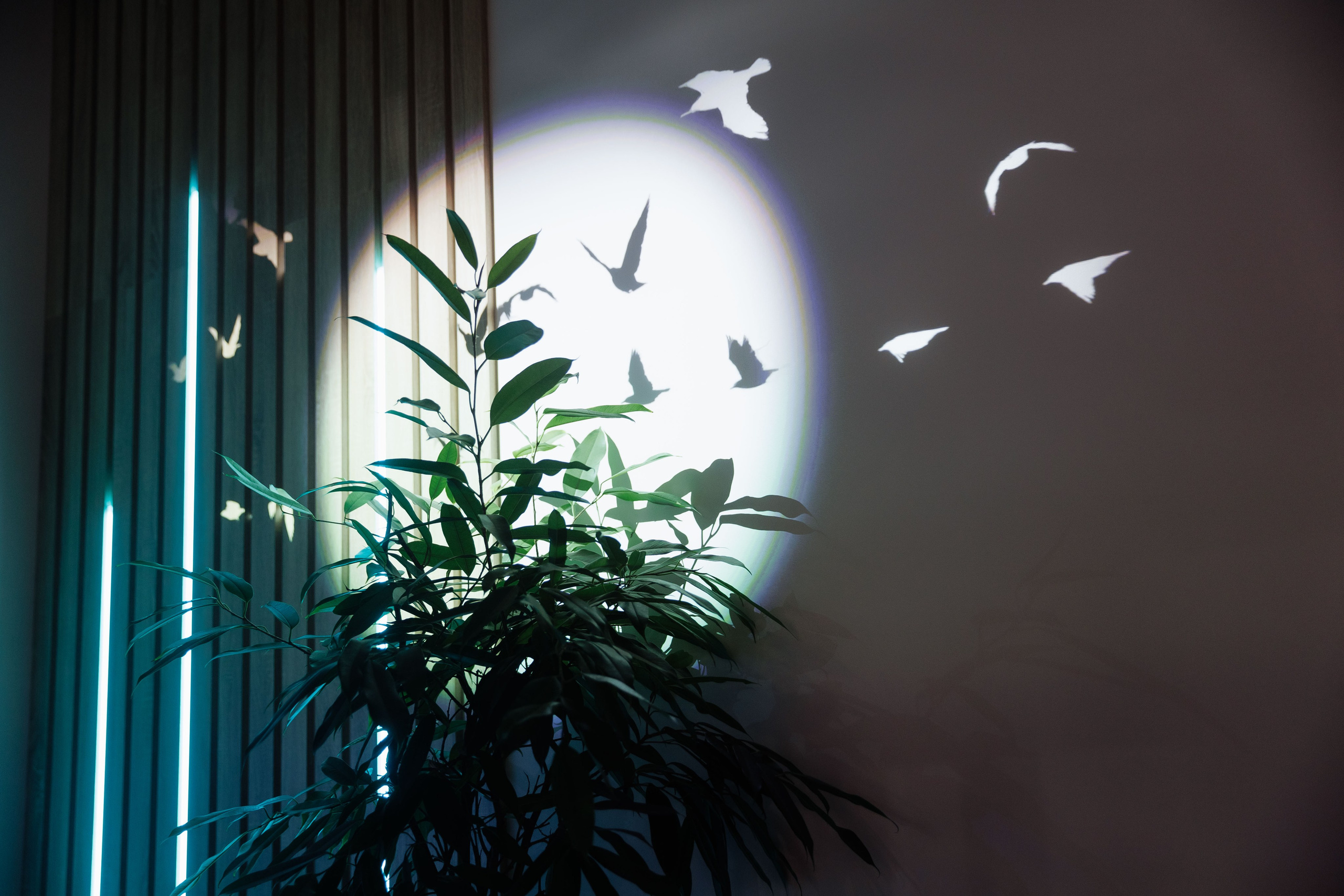 AUVIX. Выставка. Репортажный фотограф на мероприятие в Москве Алексей Терентьев