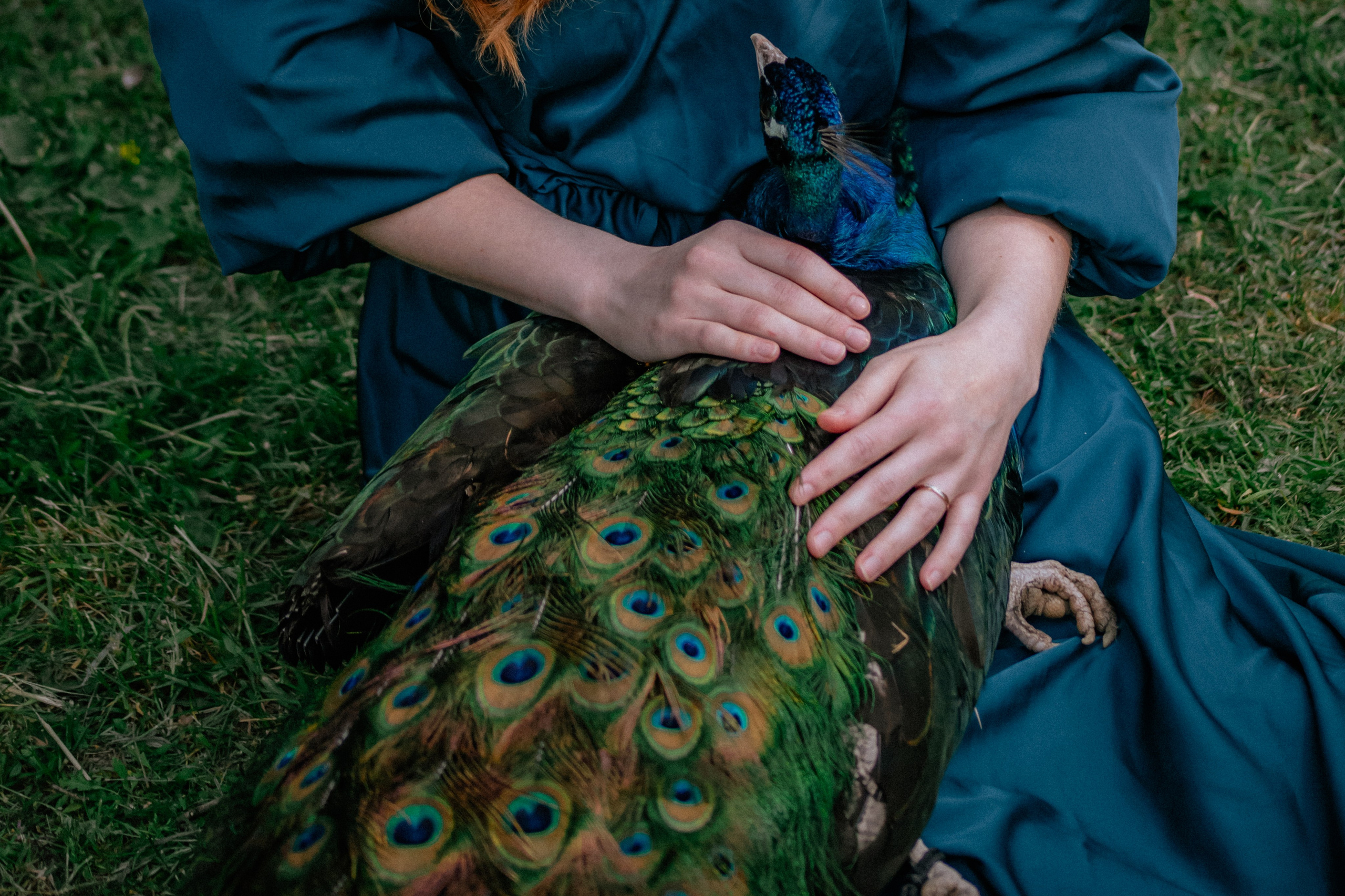 Павлин. Elena Sova — семейный и женский фотограф в Санкт-Петербурге