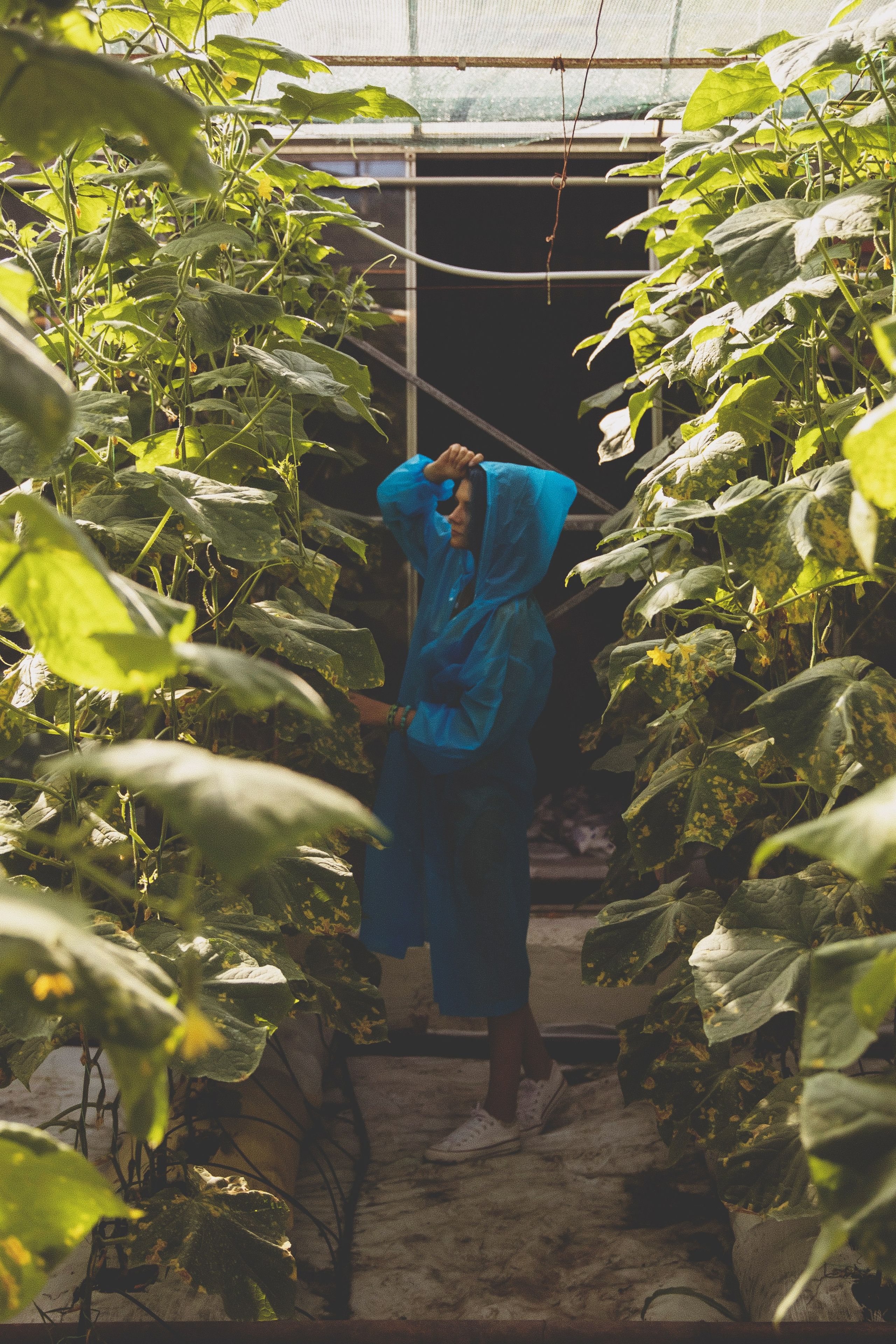 Вероника. Свадебный и семейный фотограф Колоскова Мария (Сочи и весь мир)