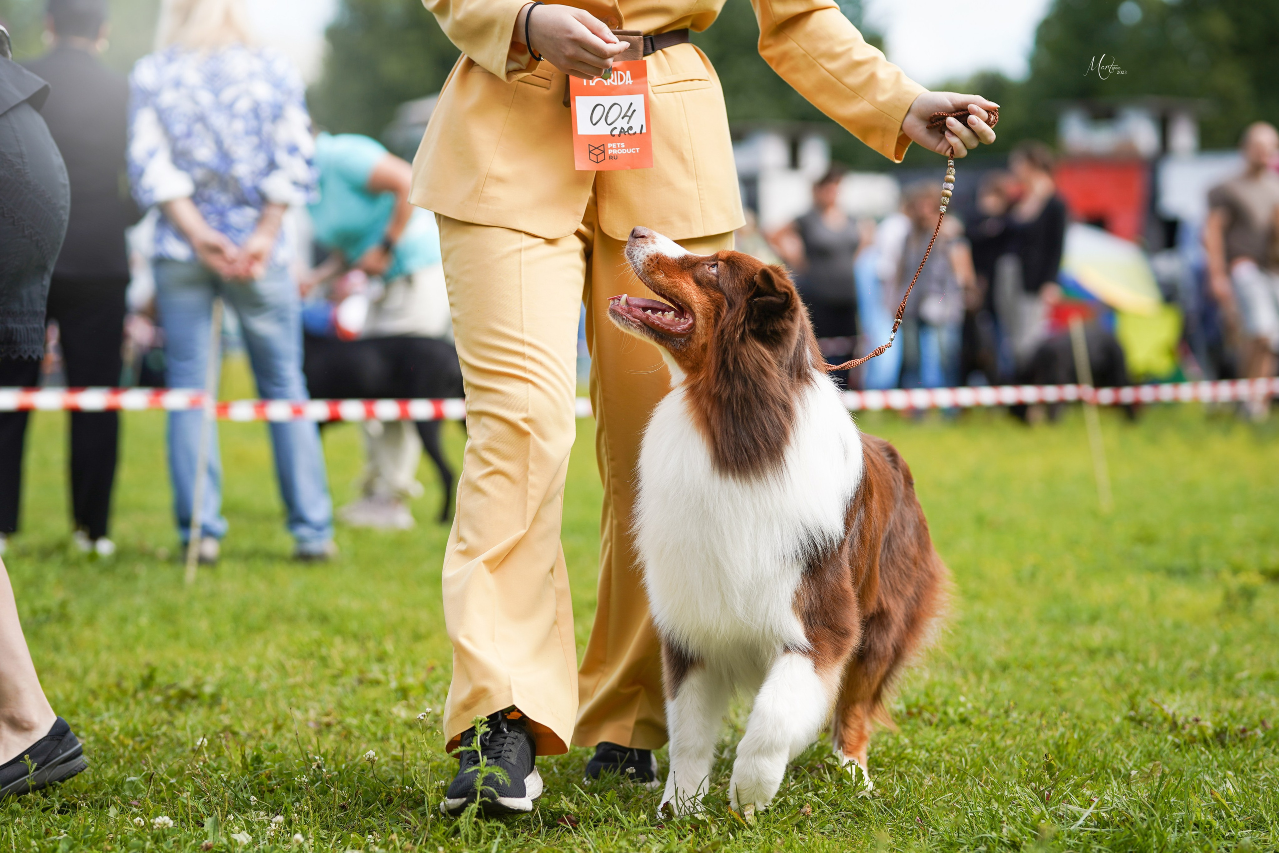 Выставки 2023. Фотограф-анималист в Санкт-Петербурге Яна Мартынова