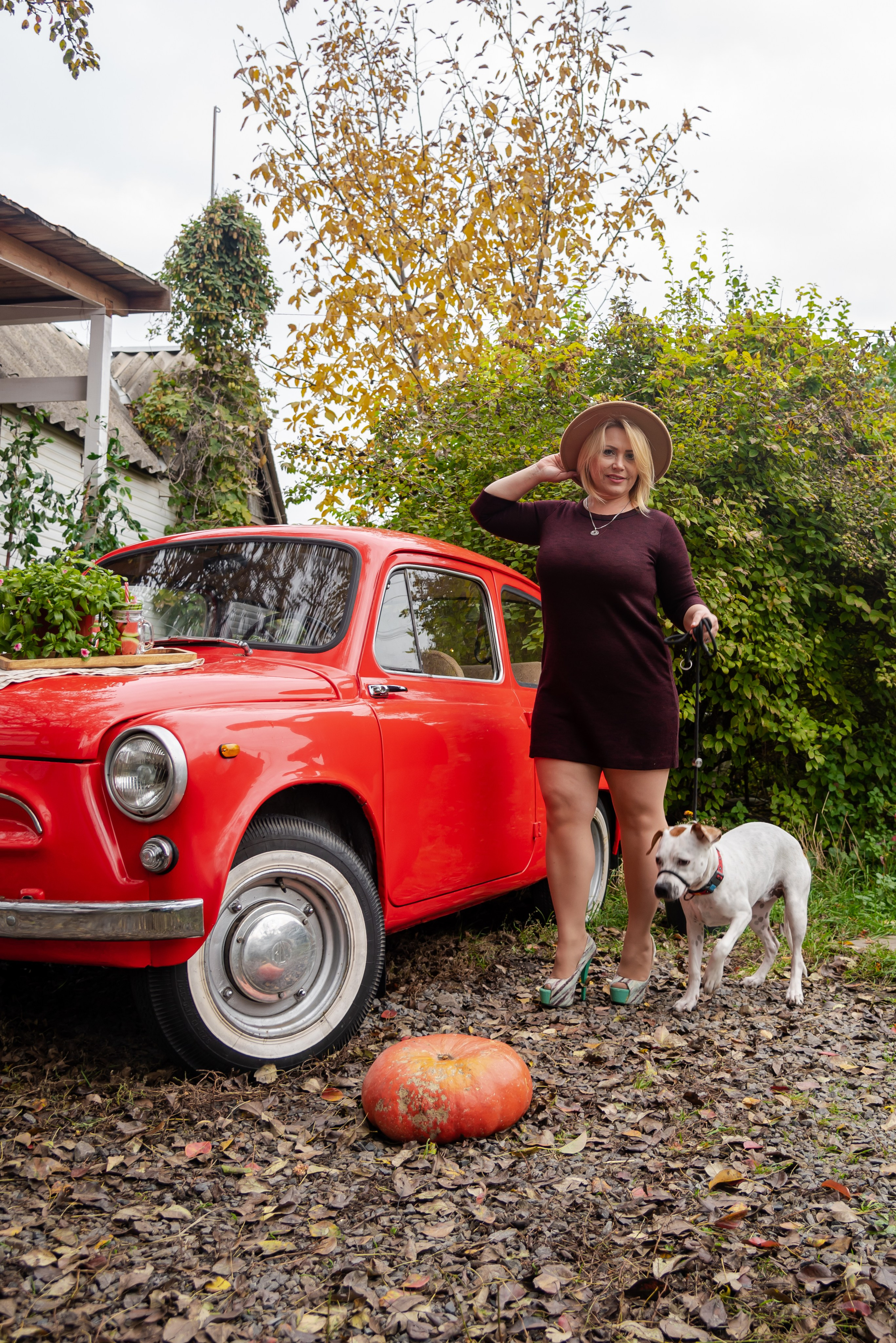 Авакадо. Фотограф Галина Нестерова