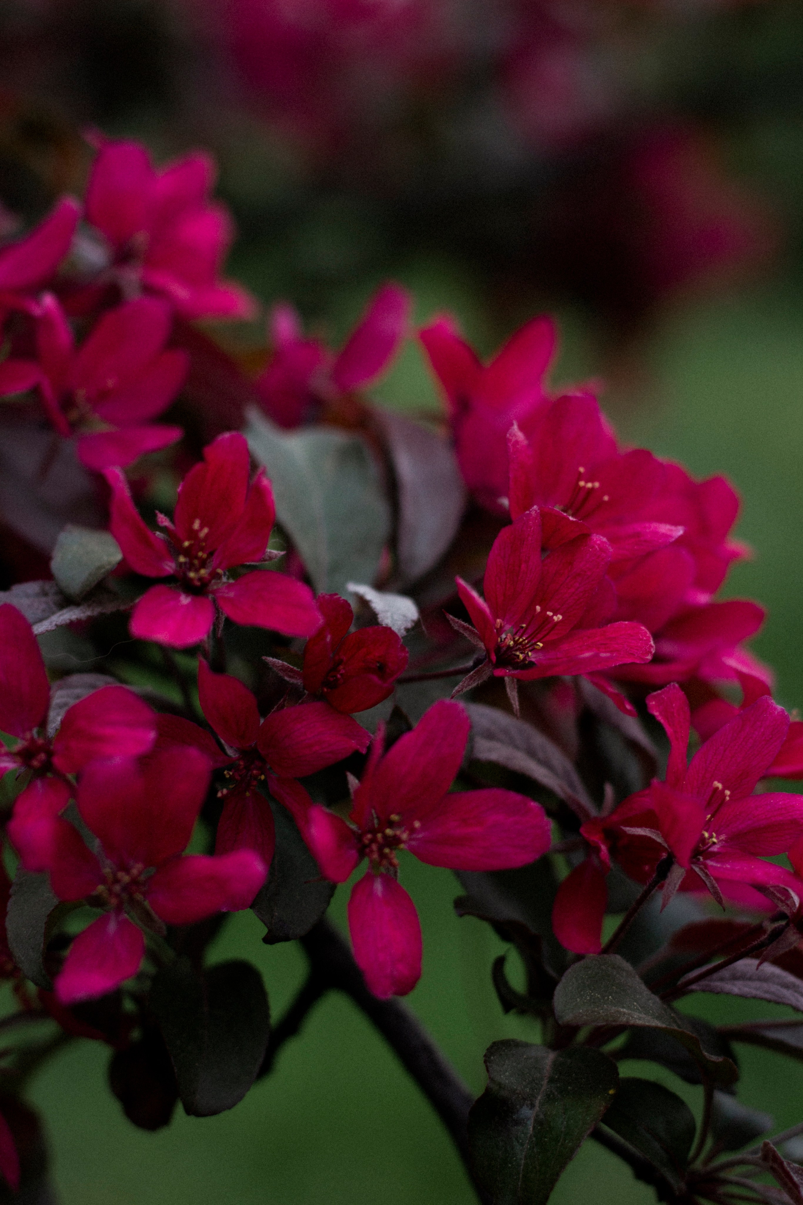 Катя, Кирилл, Тёма и Аня. Фотограф в Санкт-Петербурге Смирнова Диана