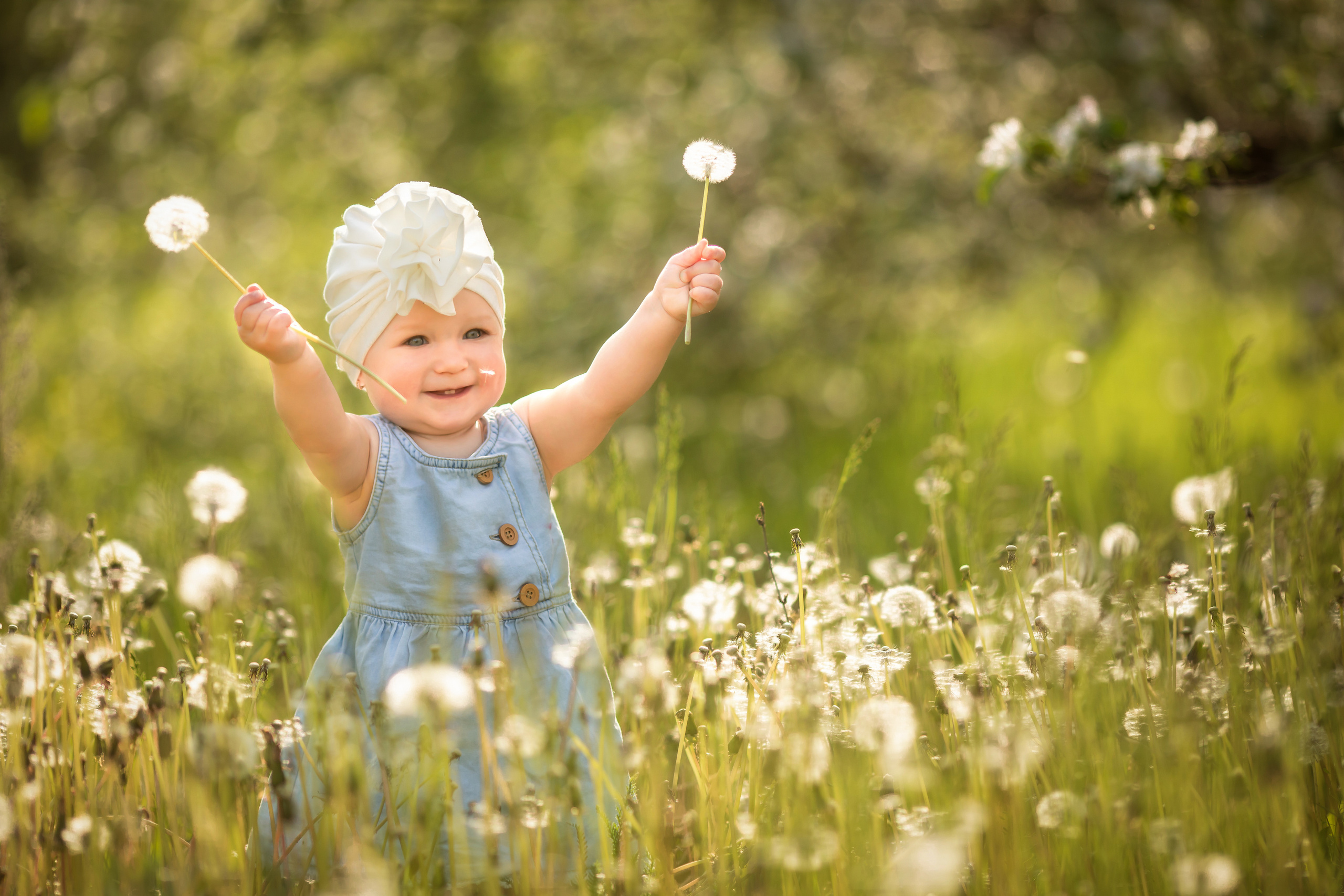 Яблоневый сад. Olga.filippova.photo
