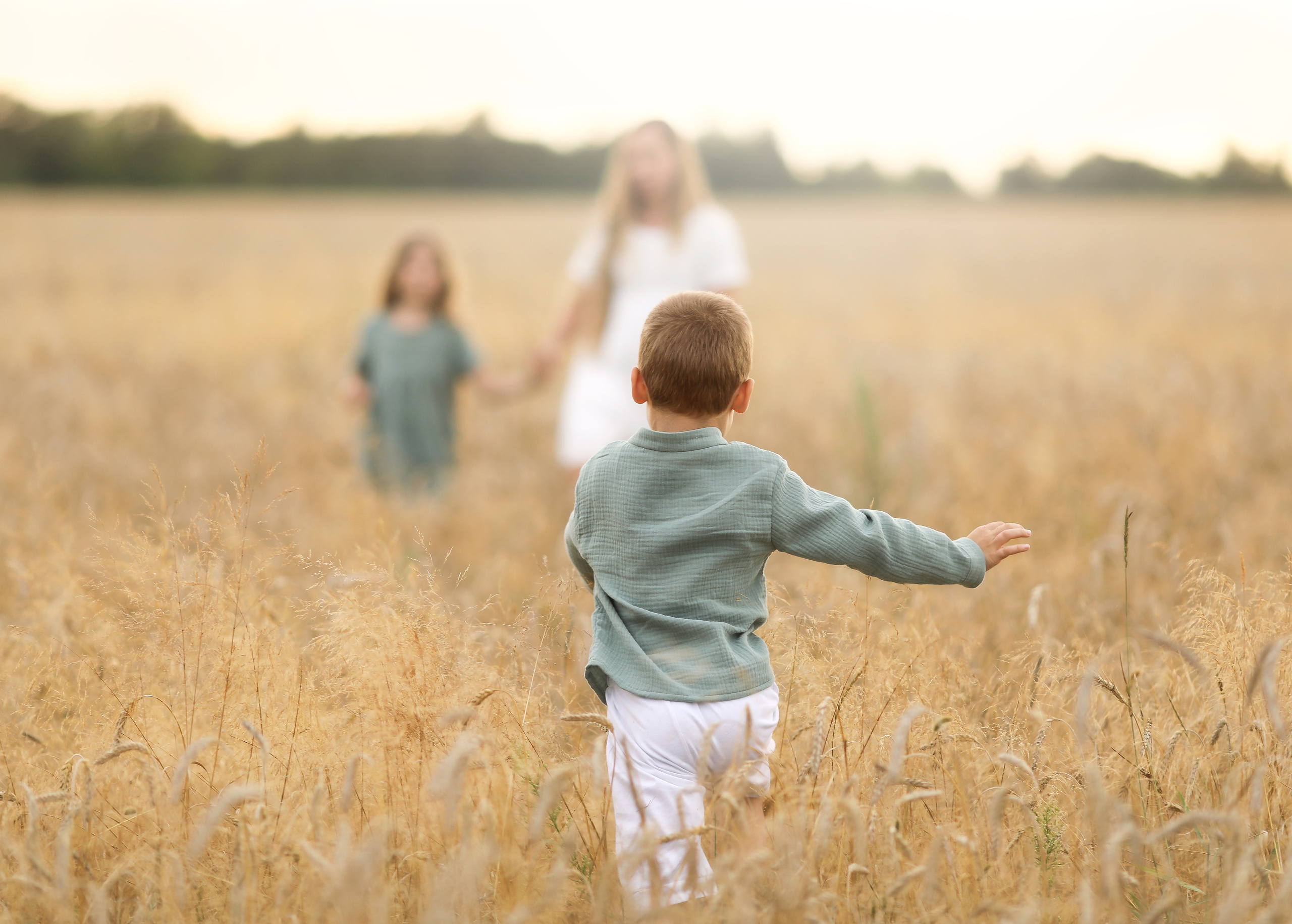 Пшеничные поля. Olga.filippova.photo