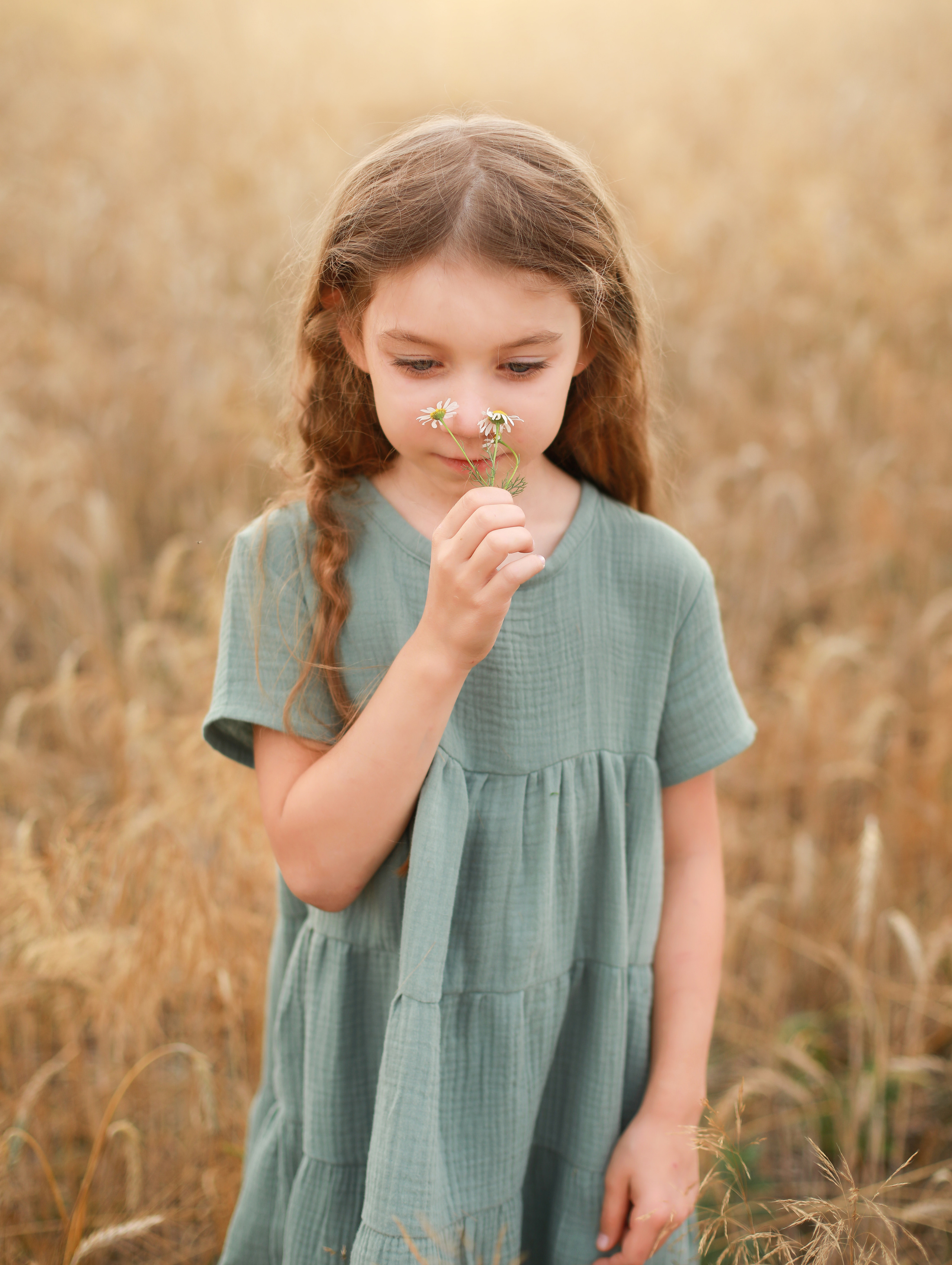 Пшеничные поля. Olga.filippova.photo