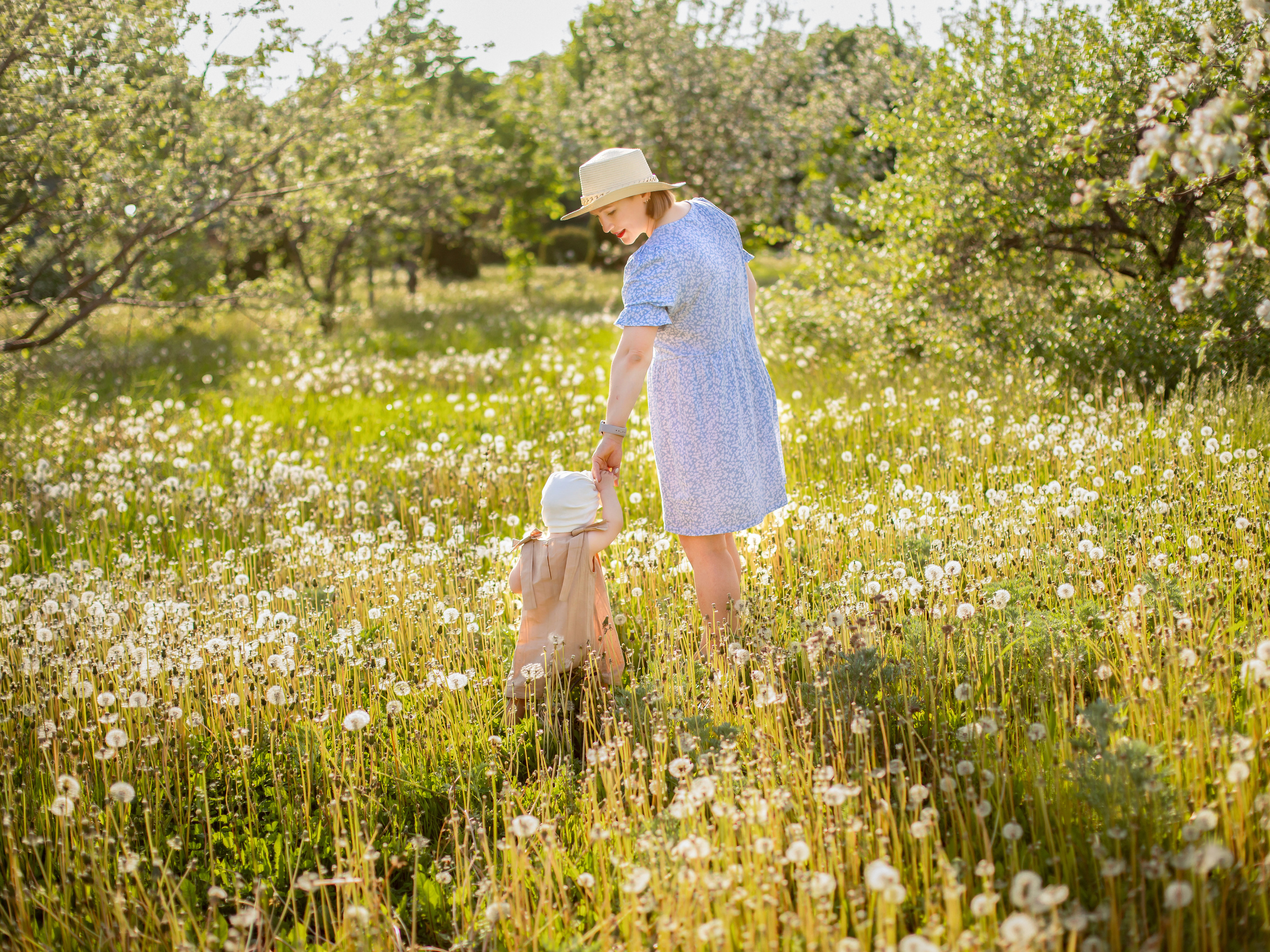 Яблоневый сад. Olga.filippova.photo