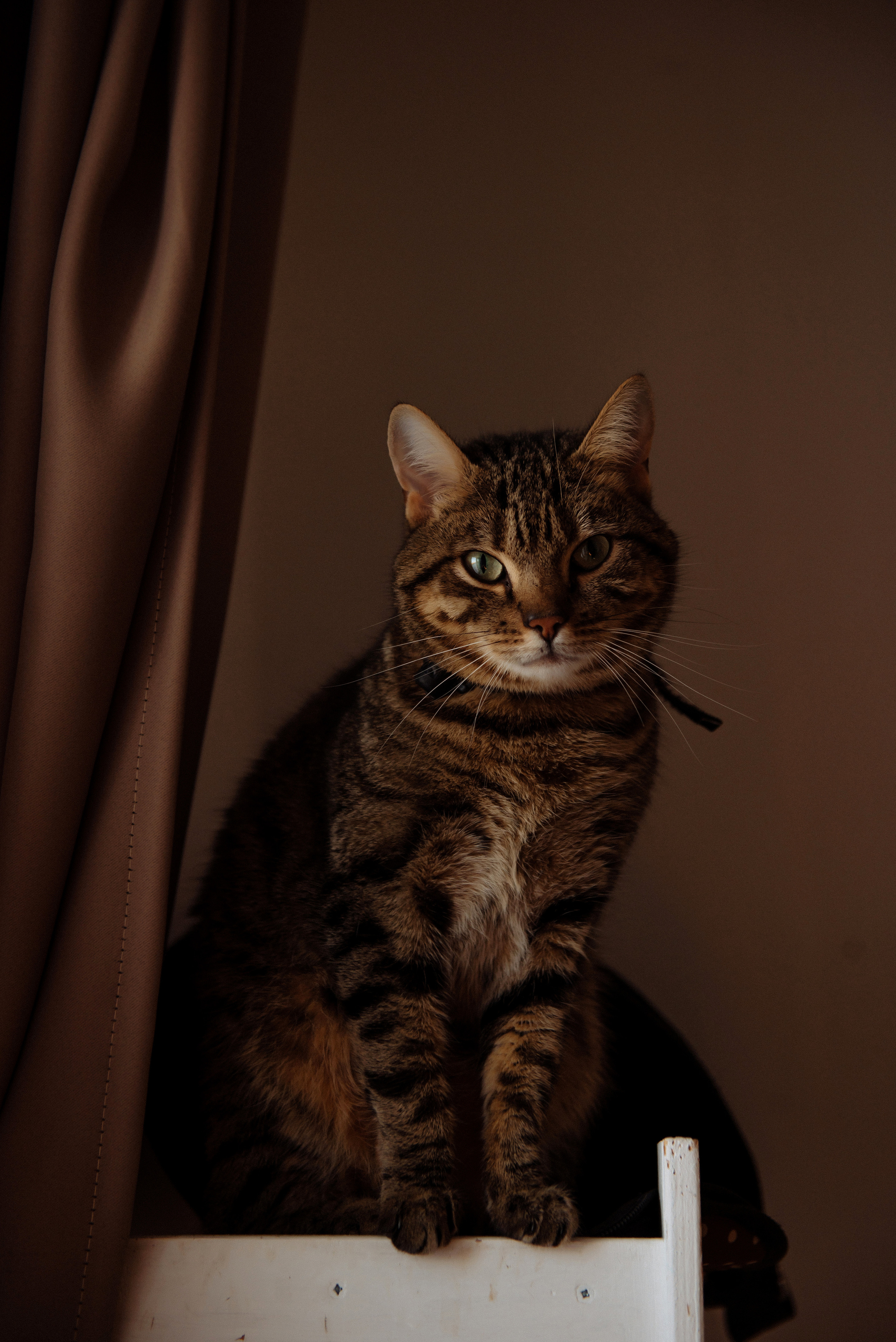 Катя. Свадебный, портретный, фотограф беременности в Нижнем Новгороде Алина Зиновьева