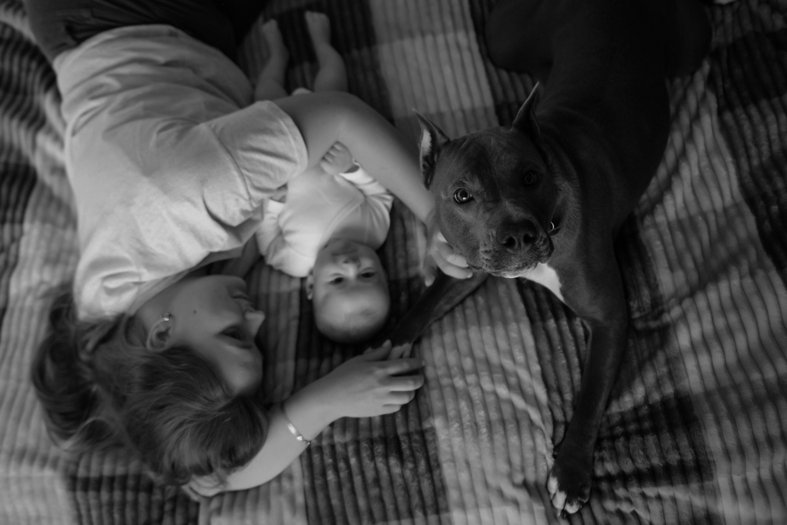 Катя. Свадебный, портретный, фотограф беременности в Нижнем Новгороде Алина Зиновьева