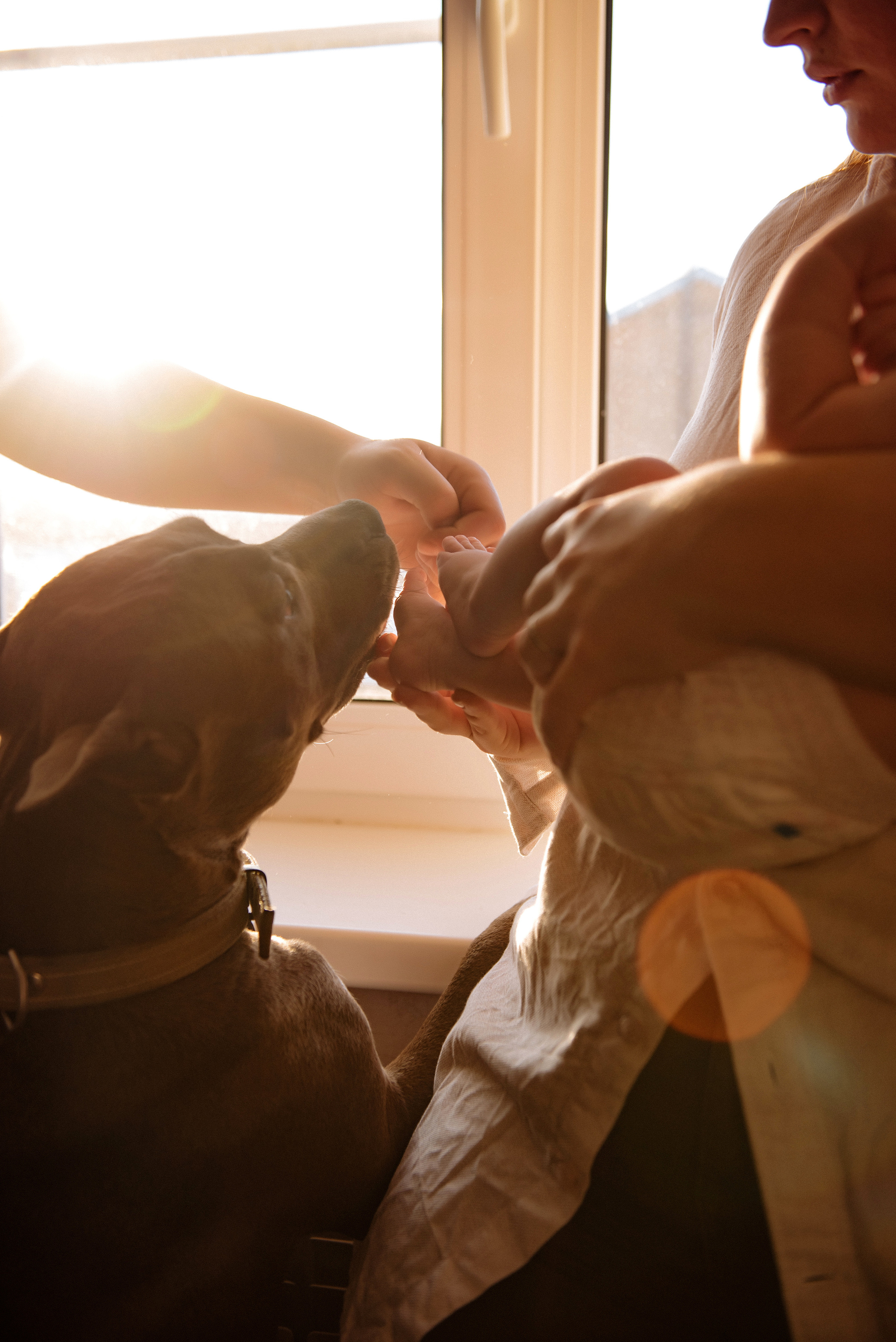 Катя. Свадебный, портретный, фотограф беременности в Нижнем Новгороде Алина Зиновьева