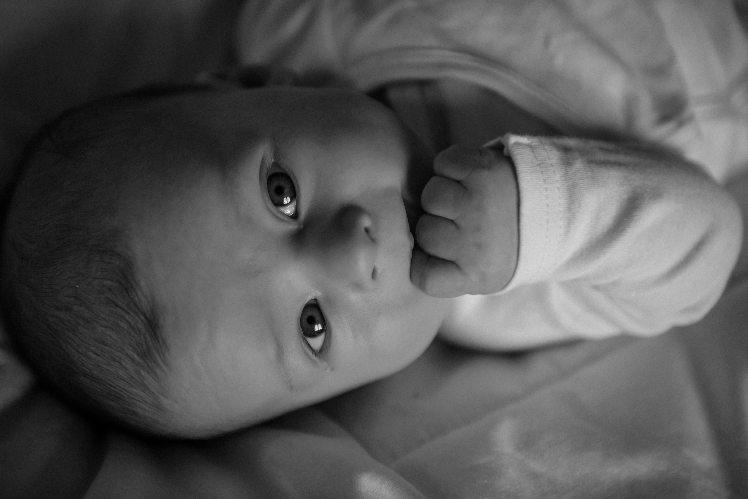 Катя. Свадебный, портретный, фотограф беременности в Нижнем Новгороде Алина Зиновьева