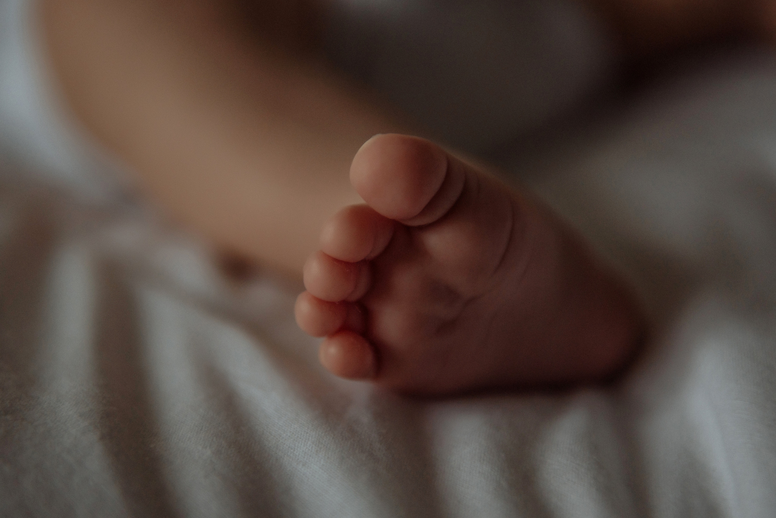 Катя. Свадебный, портретный, фотограф беременности в Нижнем Новгороде Алина Зиновьева