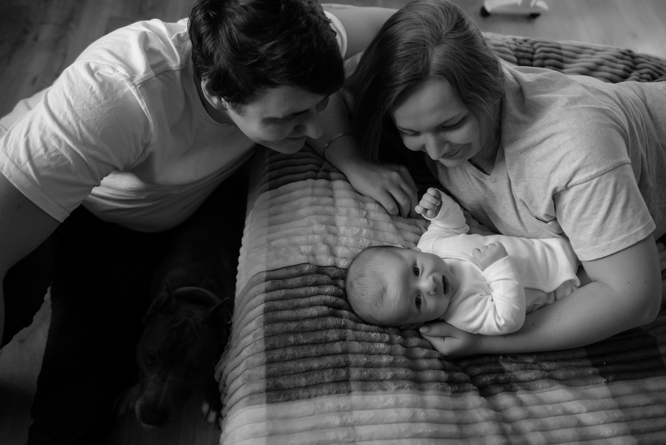 Катя. Свадебный, портретный, фотограф беременности в Нижнем Новгороде Алина Зиновьева