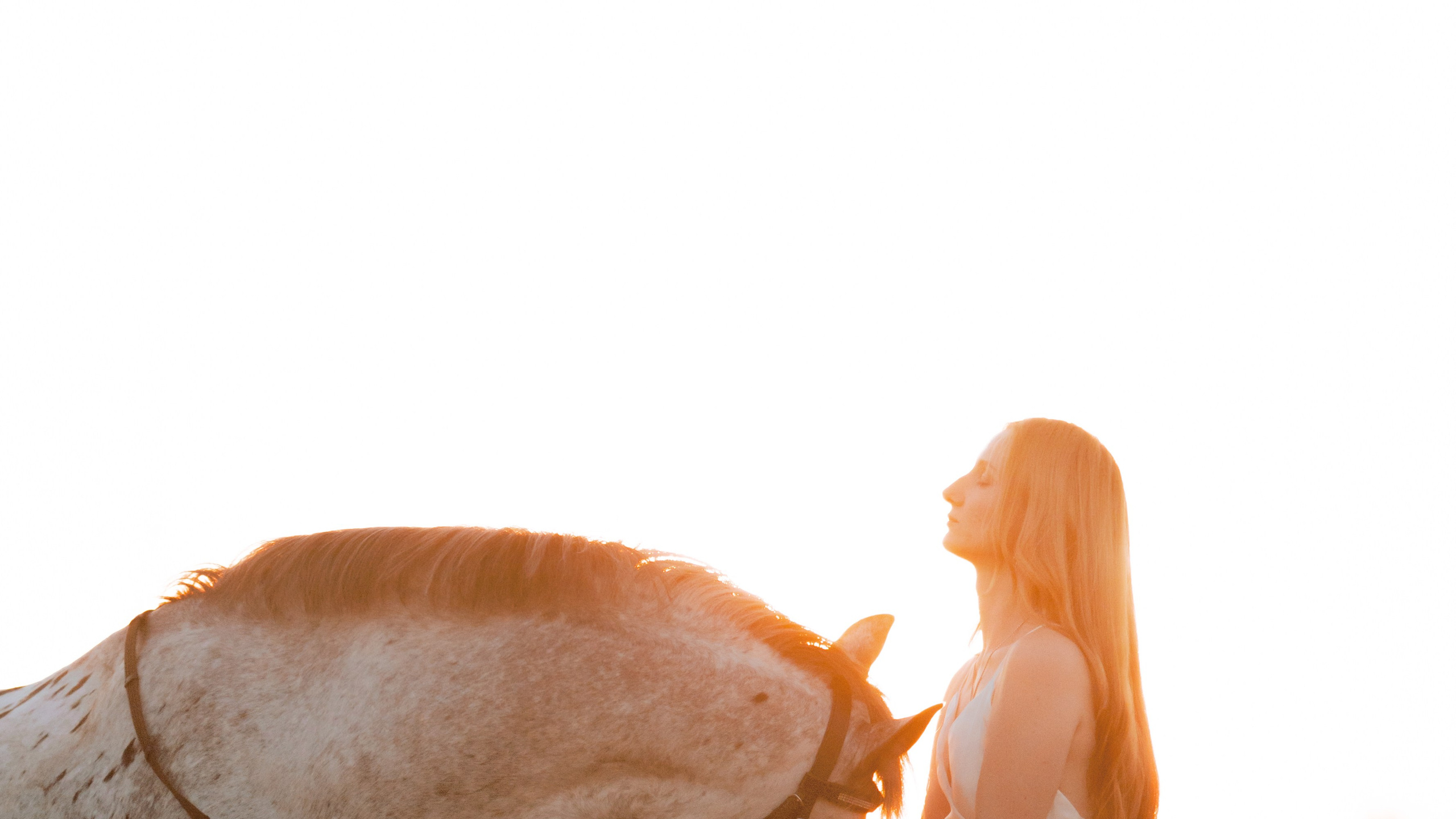 Фотосессии с лошадьми. Главная