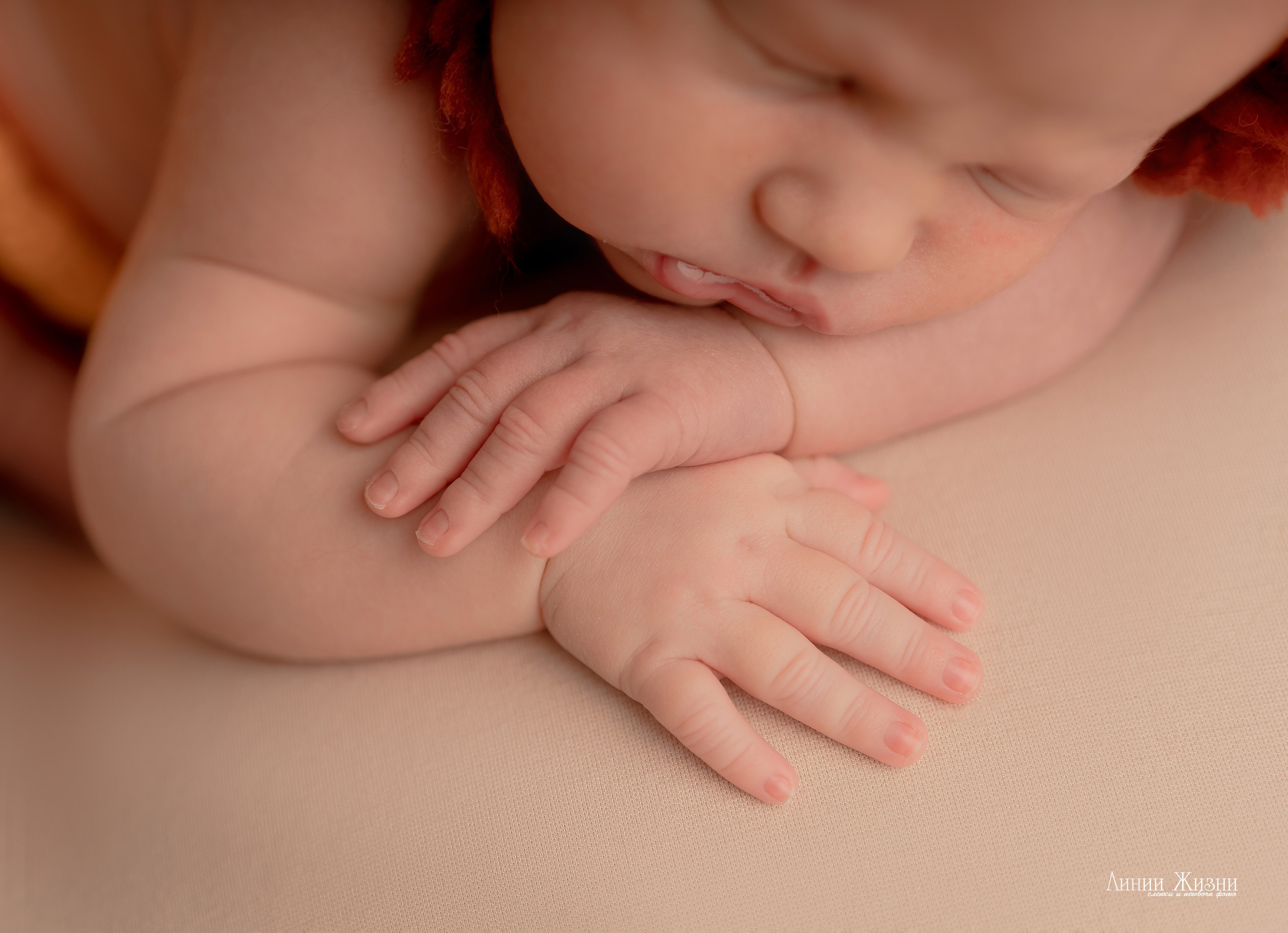 Тимофей 19 дней. Фотограф новорожденных в Нижнем Новгороде Сергеева Оксана