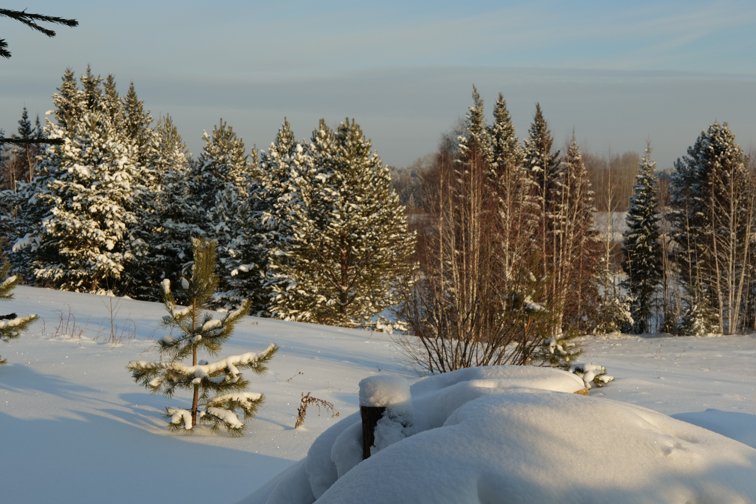 Верхотурье. Владимир Власюк