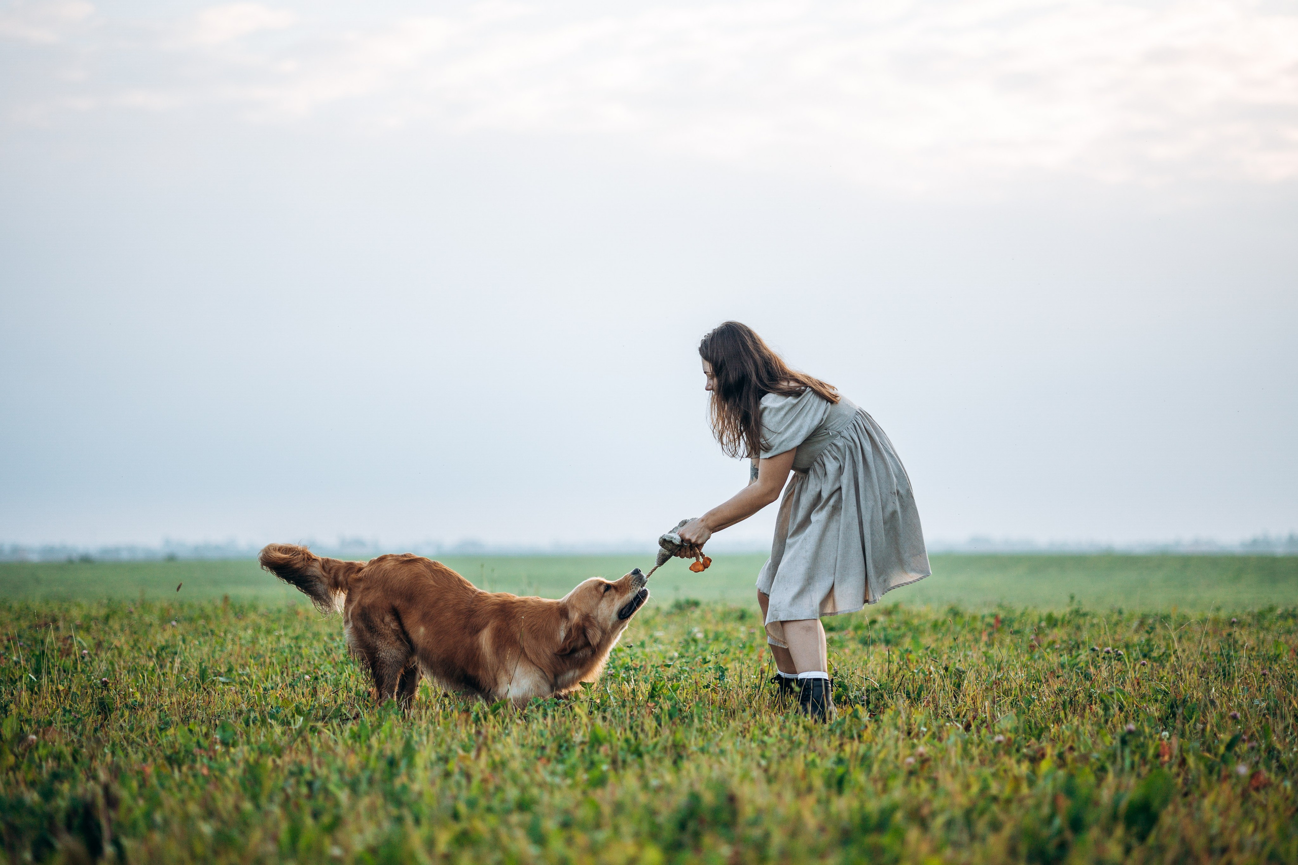 Аня и Ноллан. Фотограф — Анималист | Санкт-Петербург