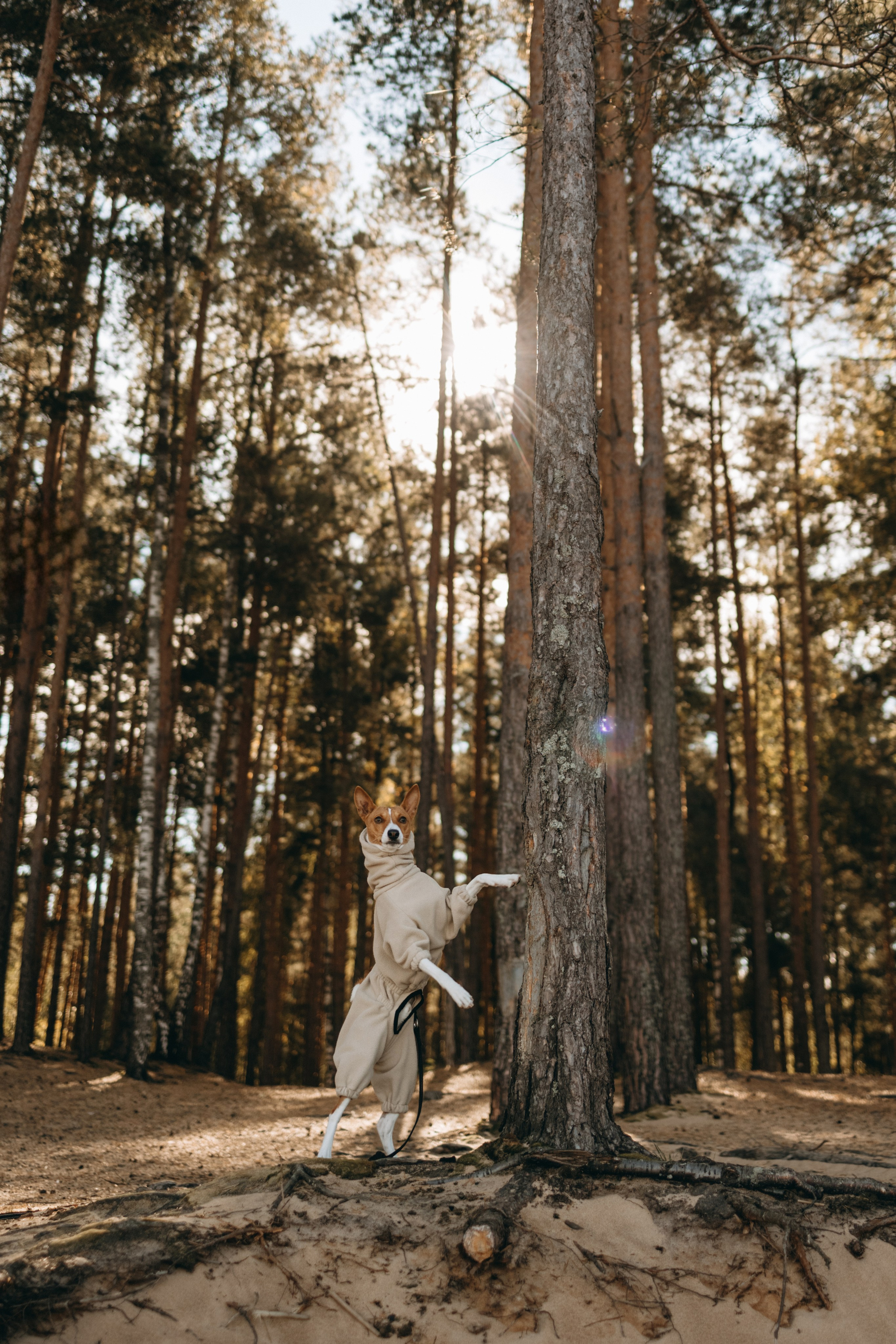 Алиса и Лео. Фотограф — Анималист | Санкт-Петербург