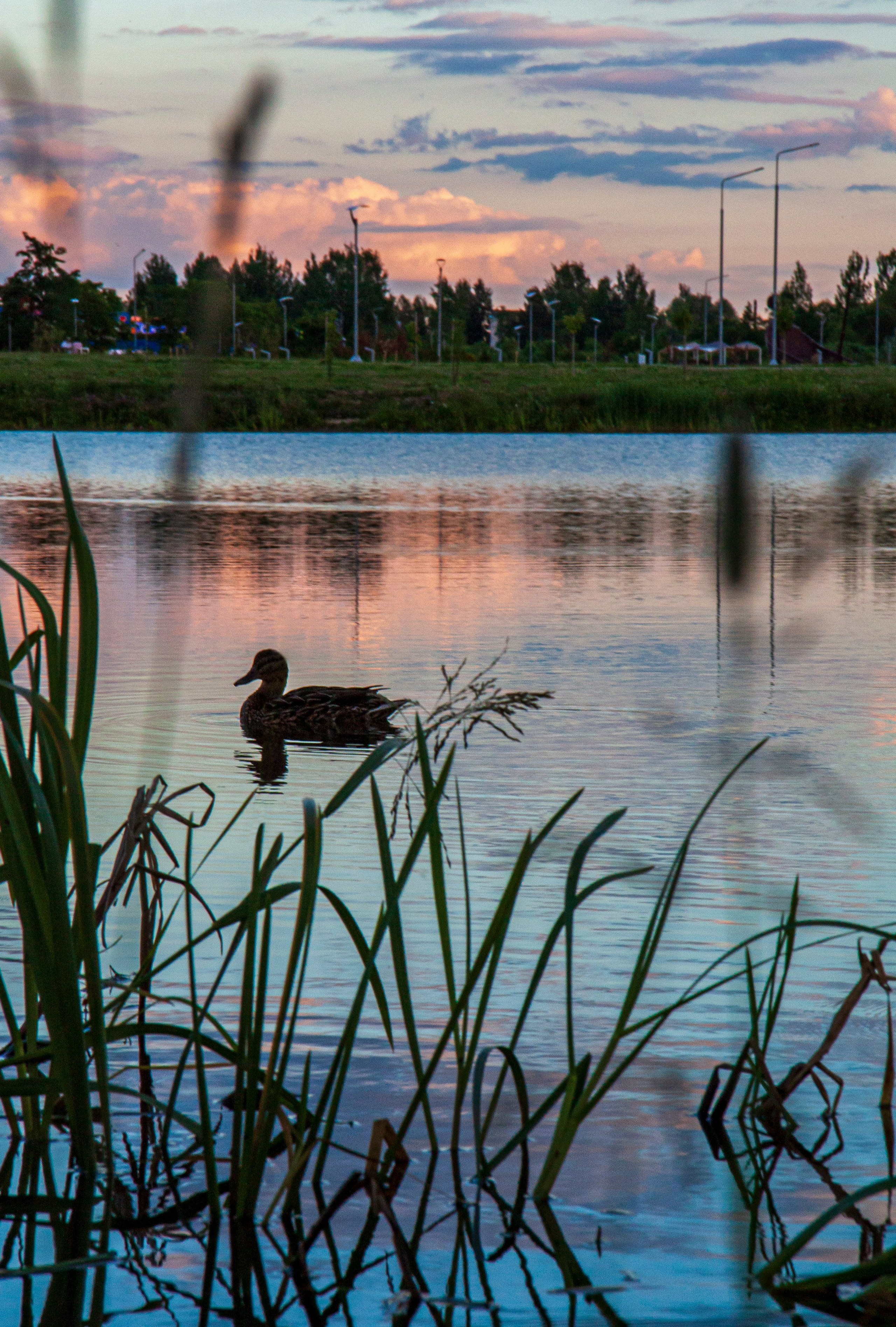 Пейзаж. Фотограф Люся Воробьева