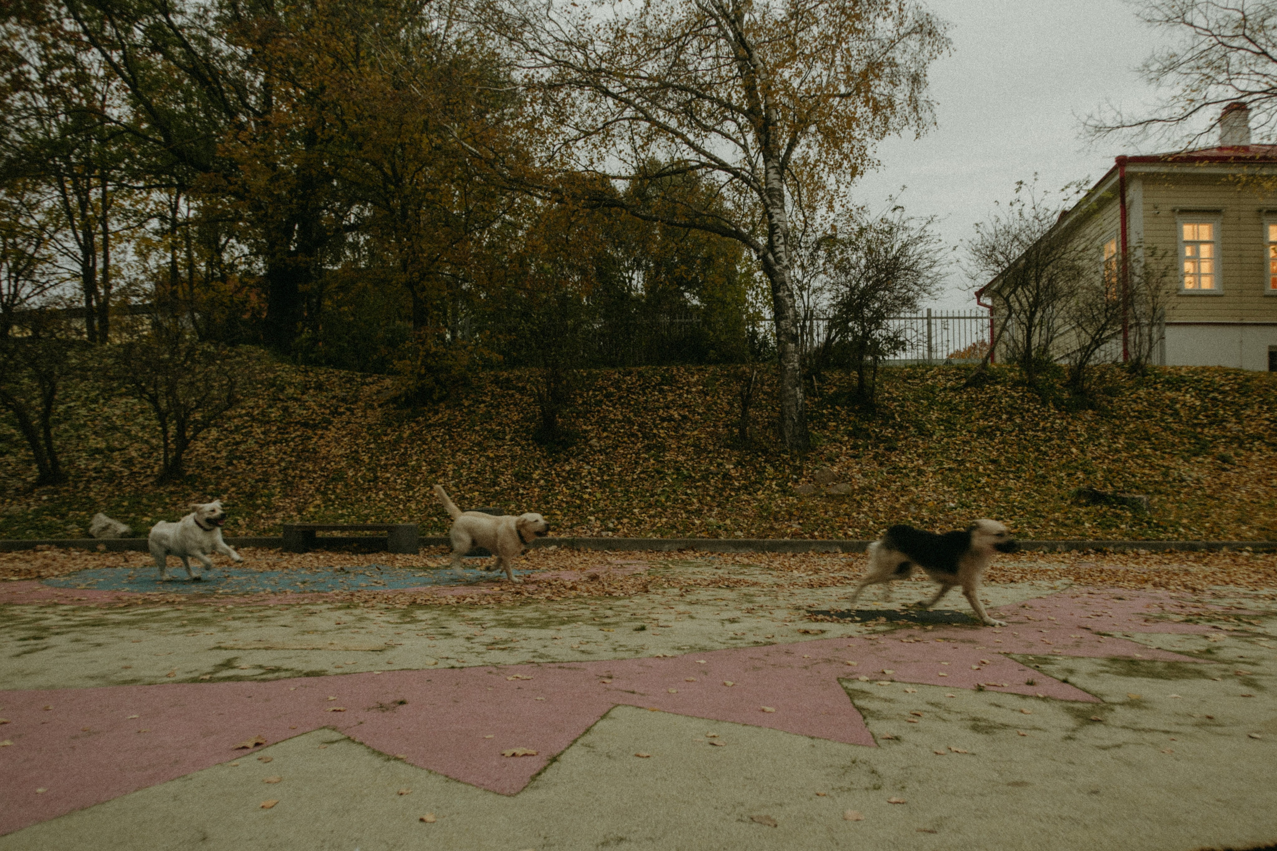 Середина нигде. Варвара Бабёнышева