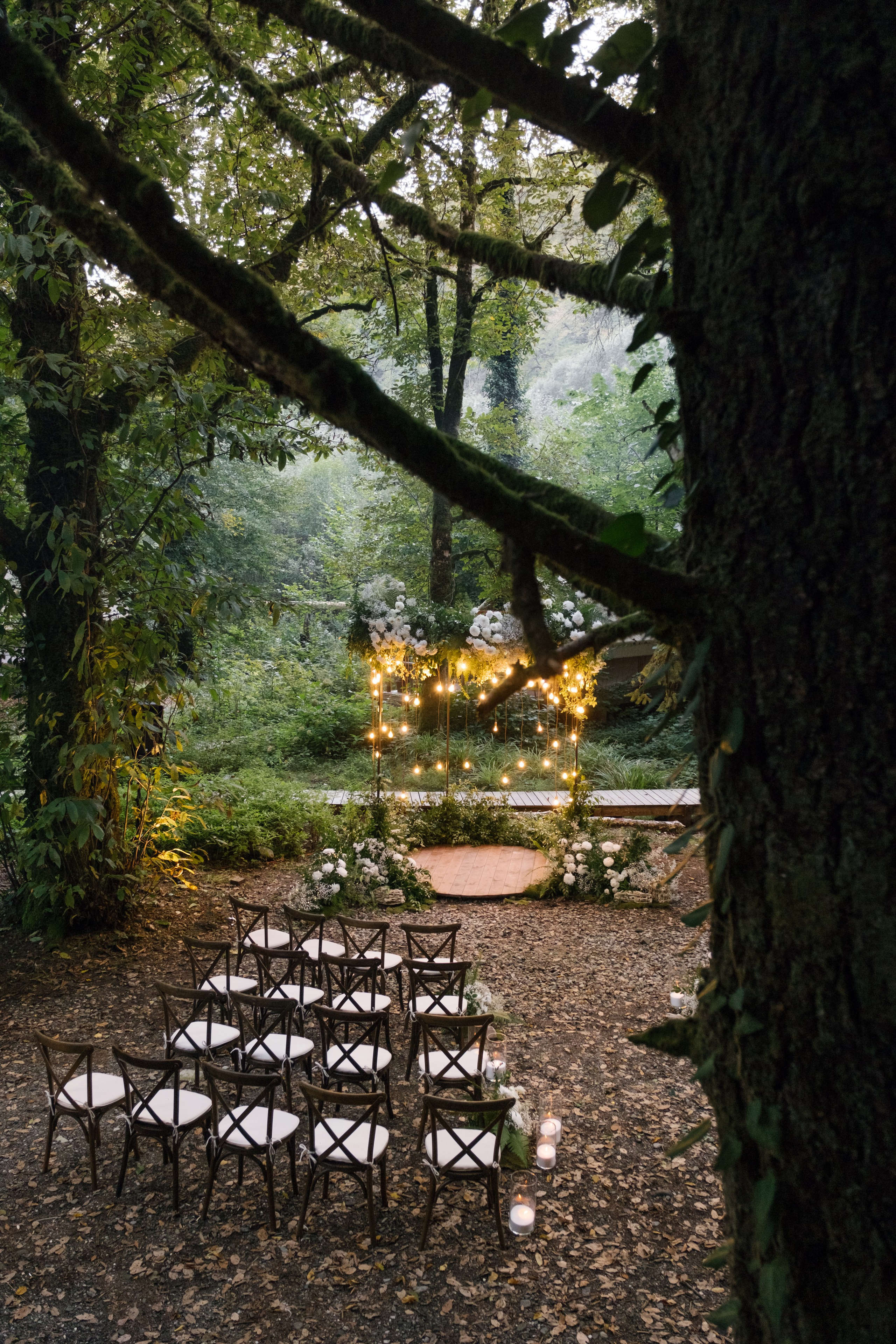 Кот и Дракон. Свадебный Видеограф Фотограф в Сочи