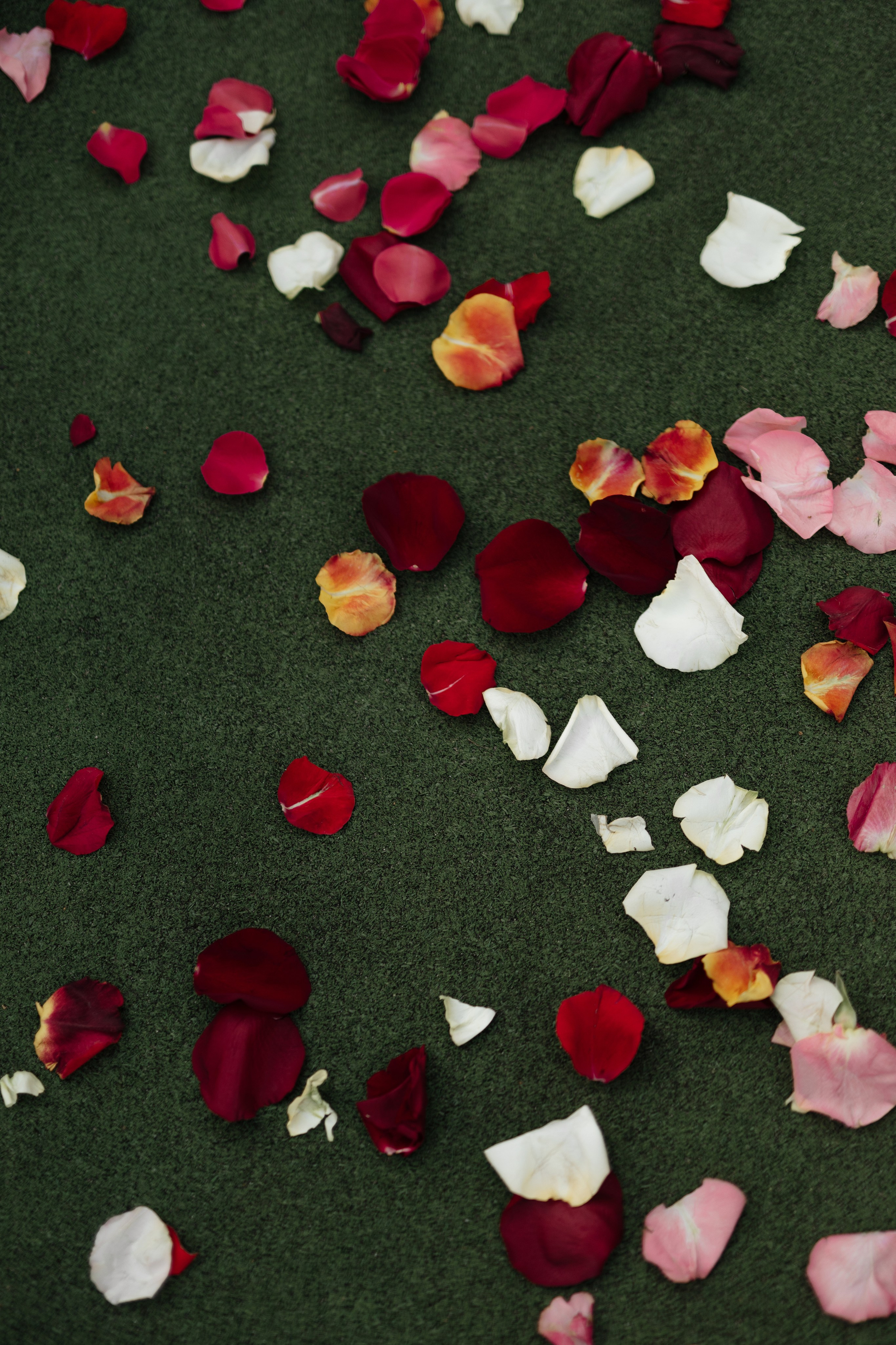 Свадьба Ильи и Татьяны. Фотограф Кольчугино/Владимир/Москва Елизавета Иода