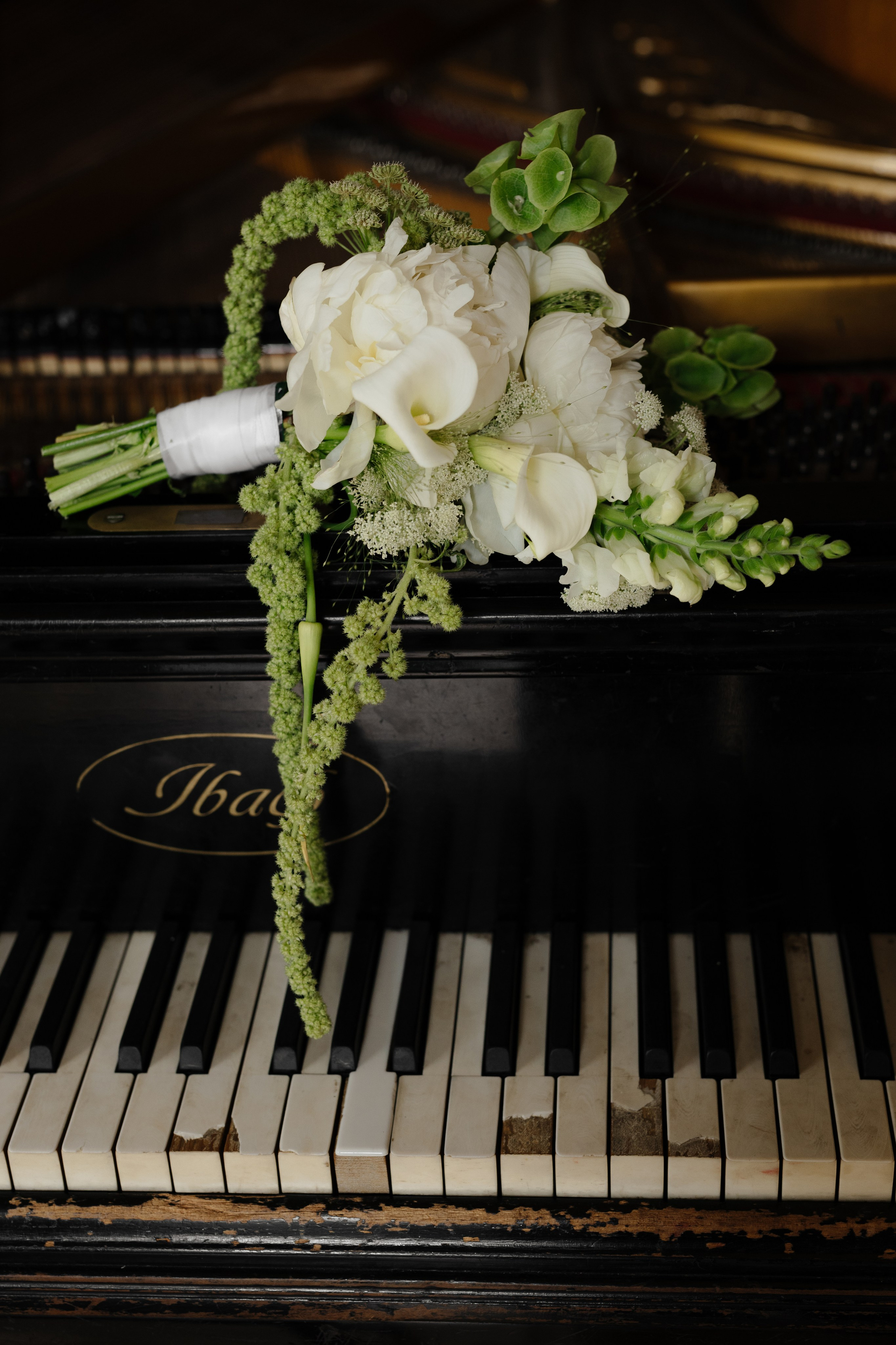 Свадьба Александра и Анны. Фотограф Кольчугино/Владимир/Москва Елизавета Иода