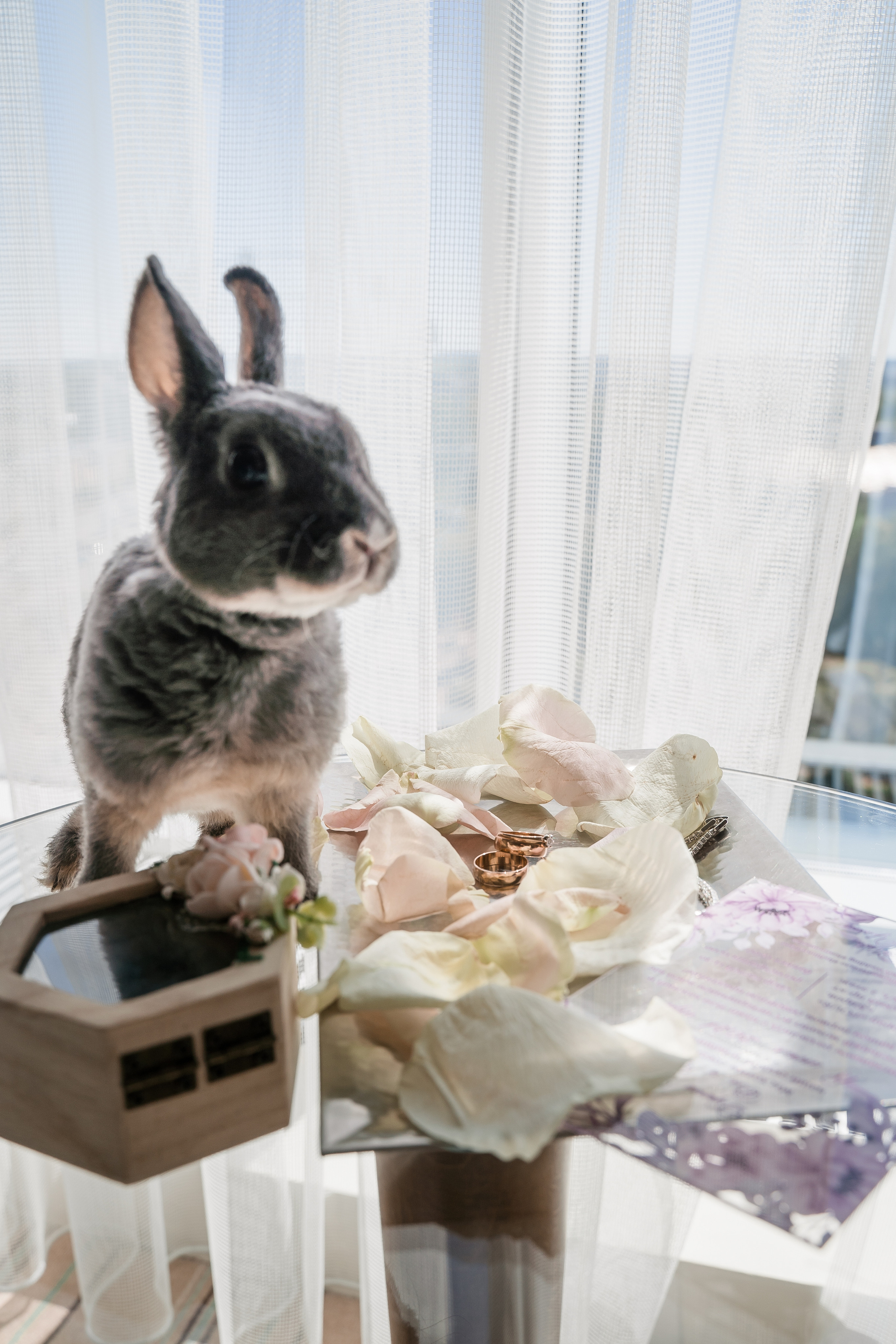 Ульяна ♥ Павел I Киров. Брендфотограф, фотограф Наталия Ягодкина I Киров I Москва