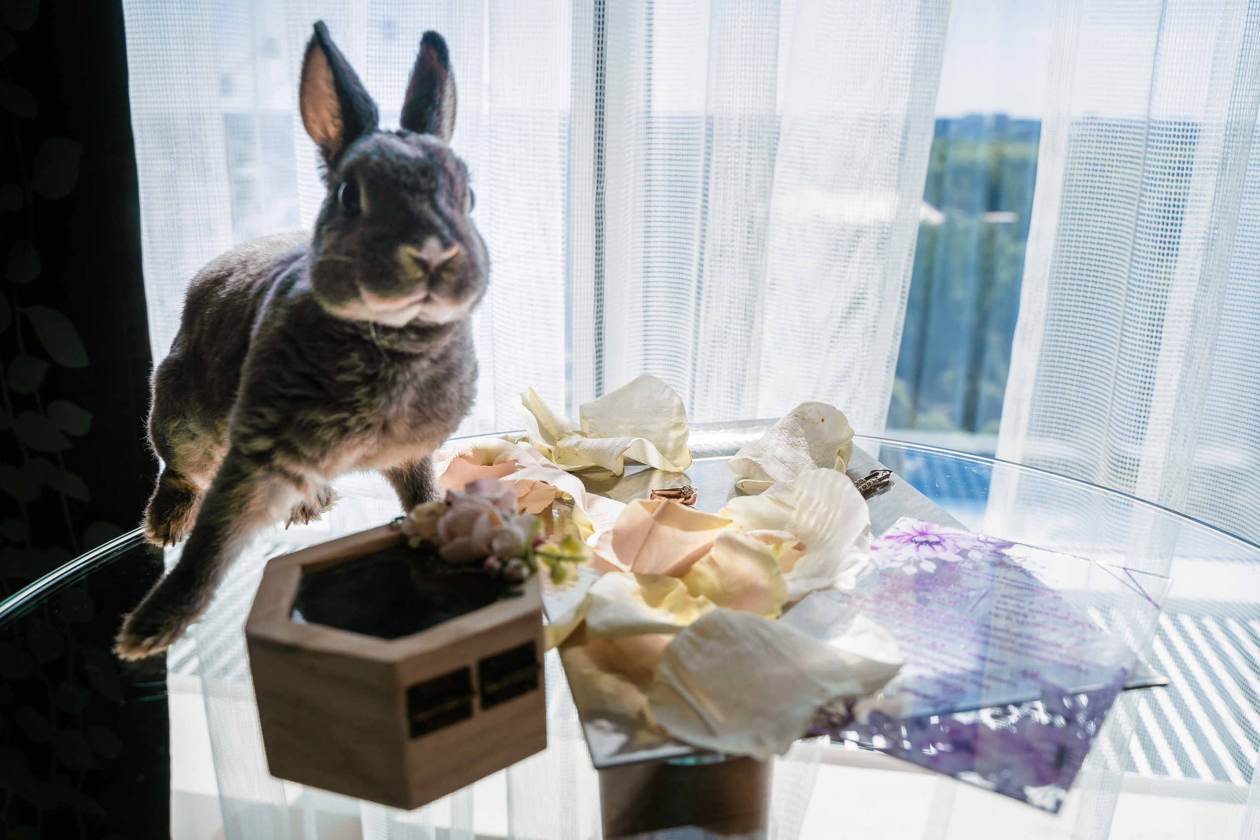 Ульяна ♥ Павел I Киров. Брендфотограф, фотограф Наталия Ягодкина I Киров I Москва