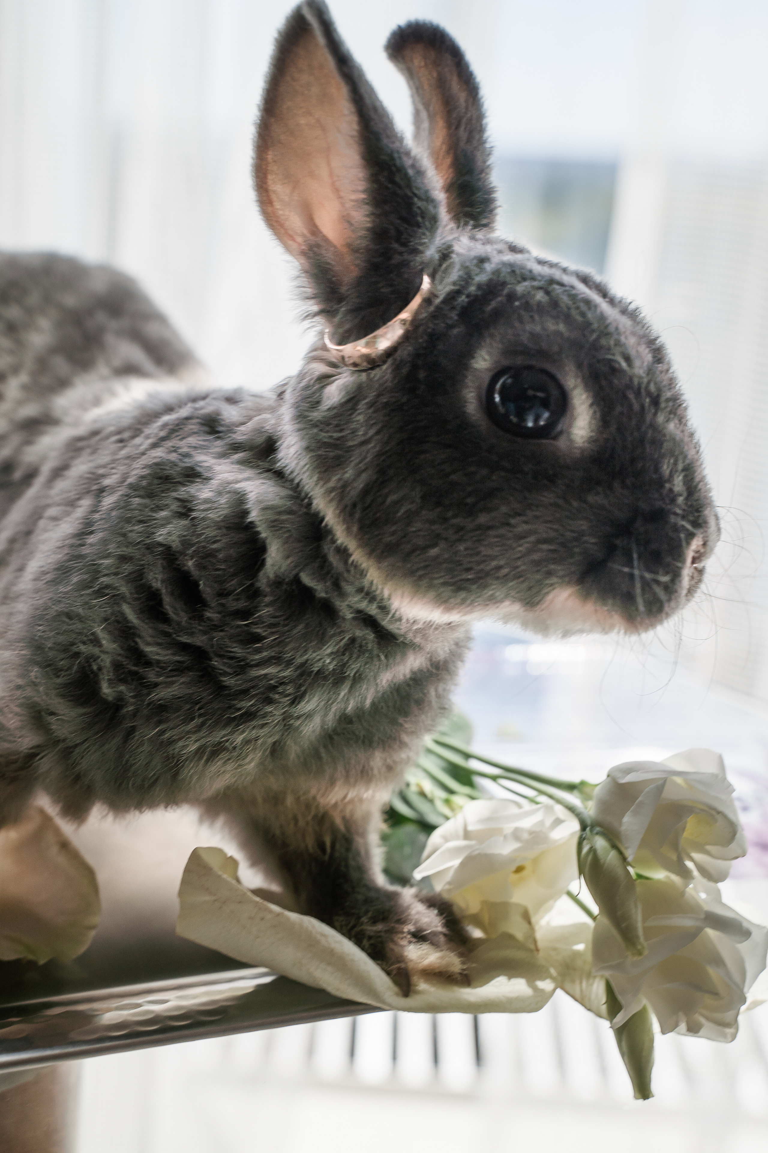 Ульяна ♥ Павел I Киров. Брендфотограф, фотограф Наталия Ягодкина I Киров I Москва