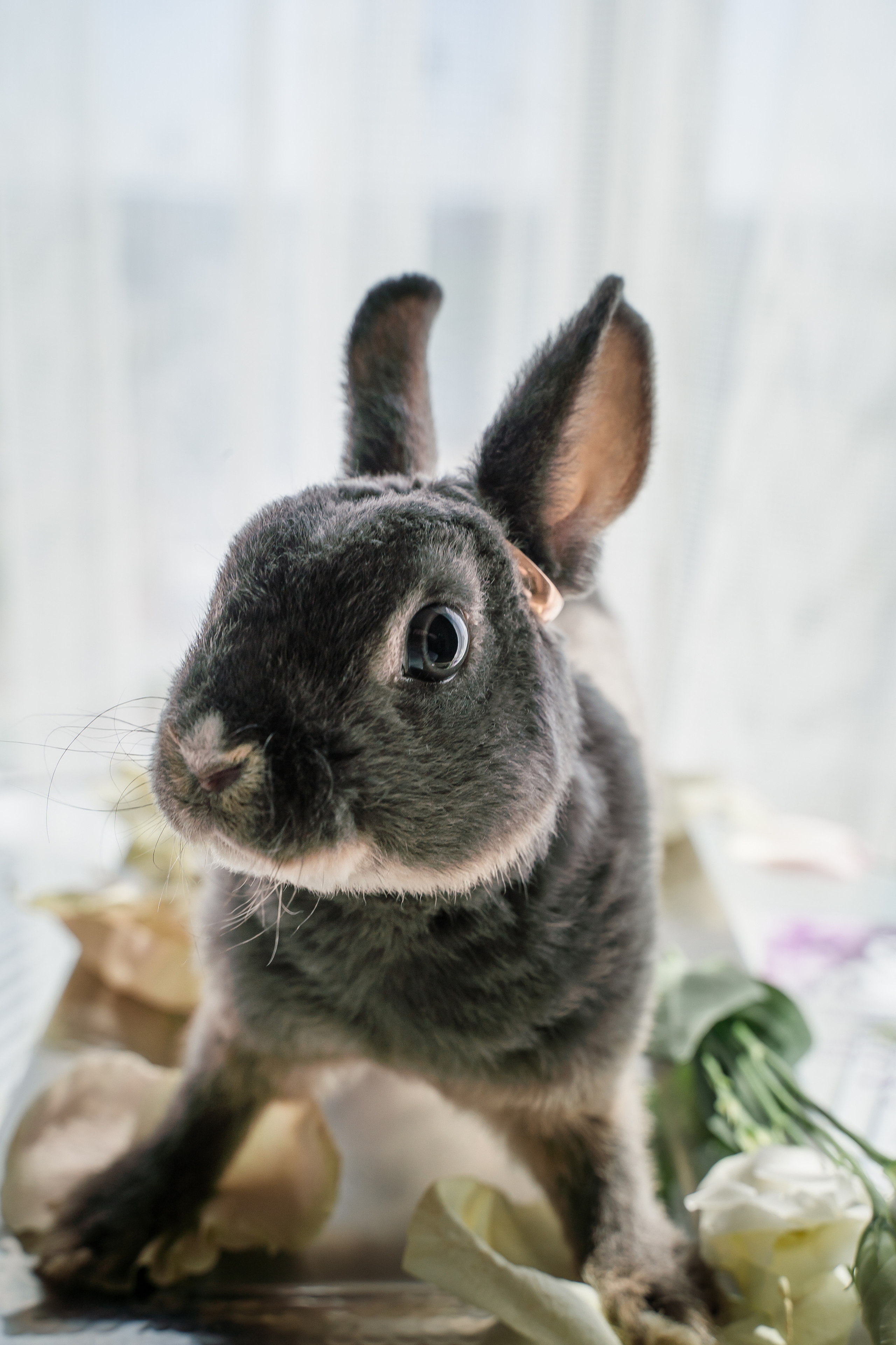 Ульяна ♥ Павел I Киров. Брендфотограф, фотограф Наталия Ягодкина I Киров I Москва