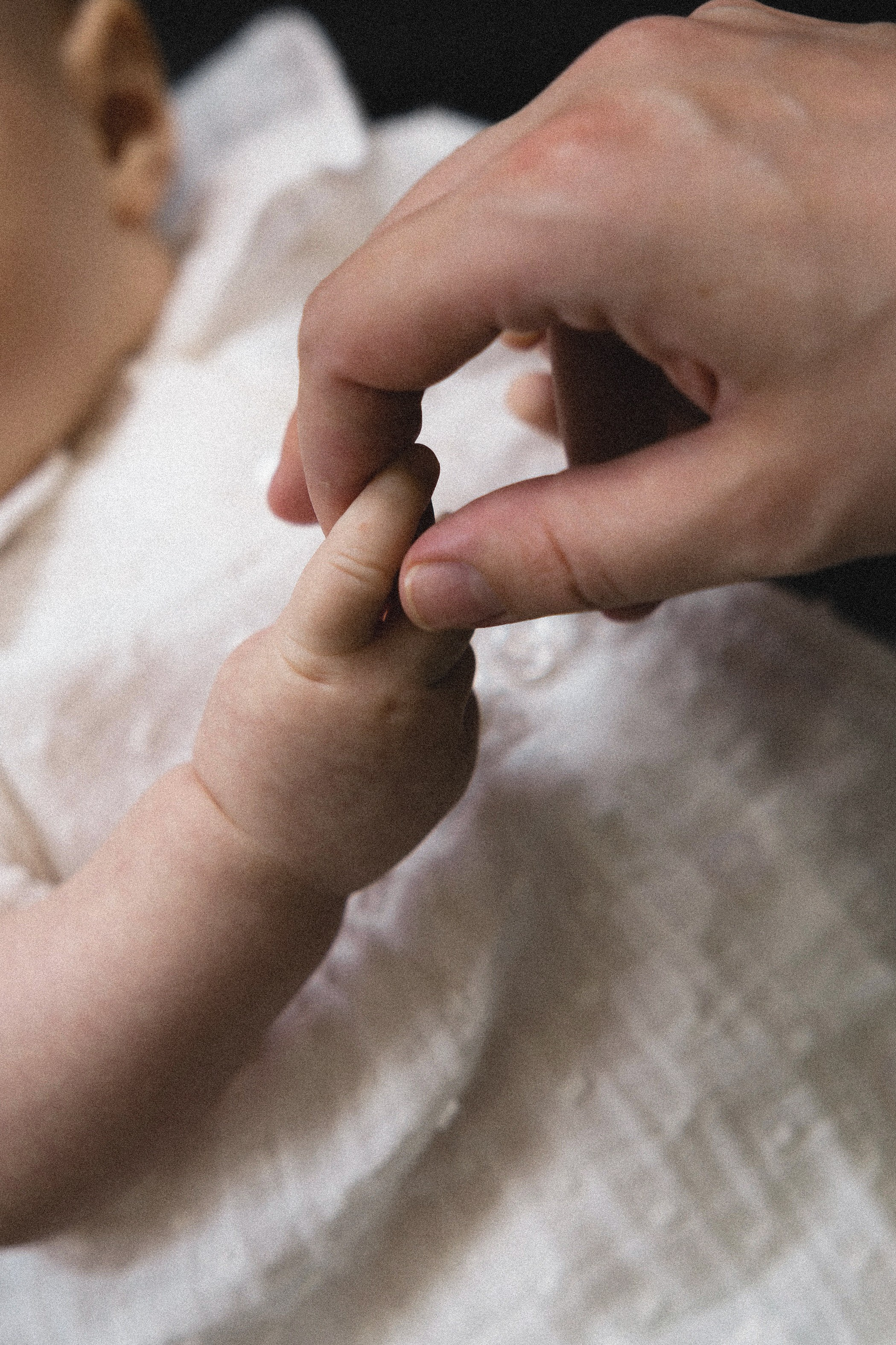 Лея и Дарья. Дубинкина Екатерина Фотограф Рязань, Москва