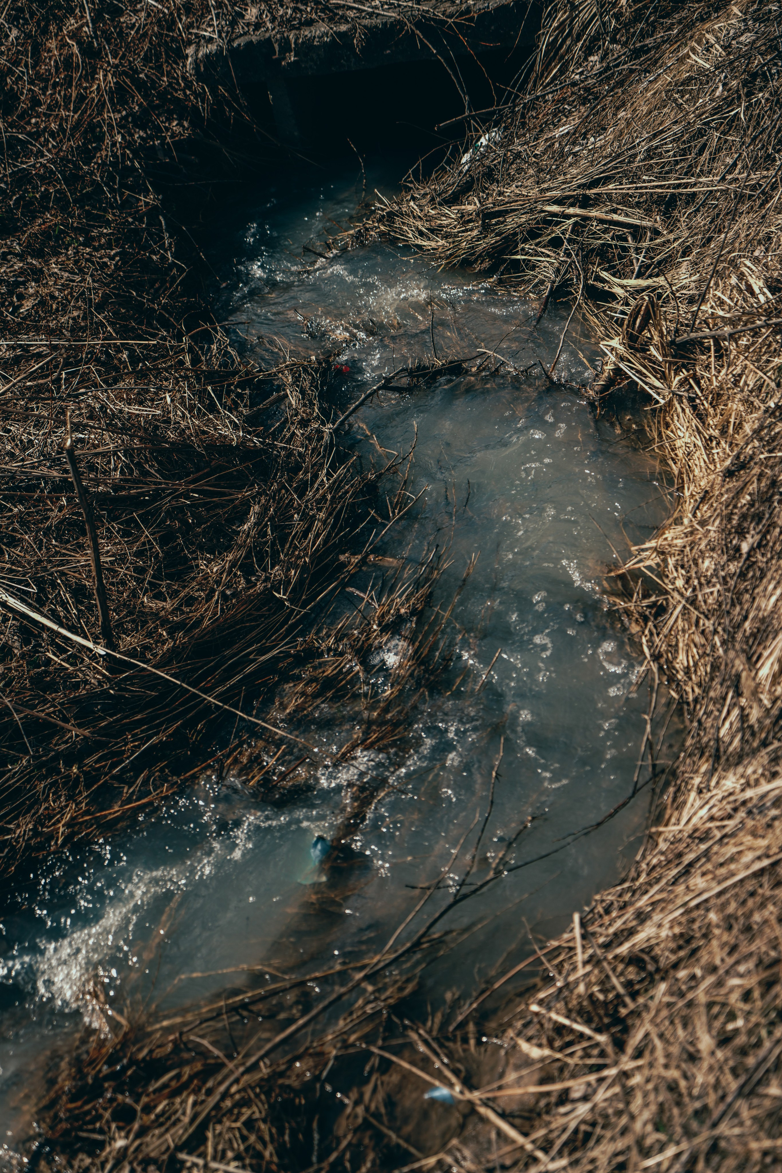 Фурманов, Апрель 2022