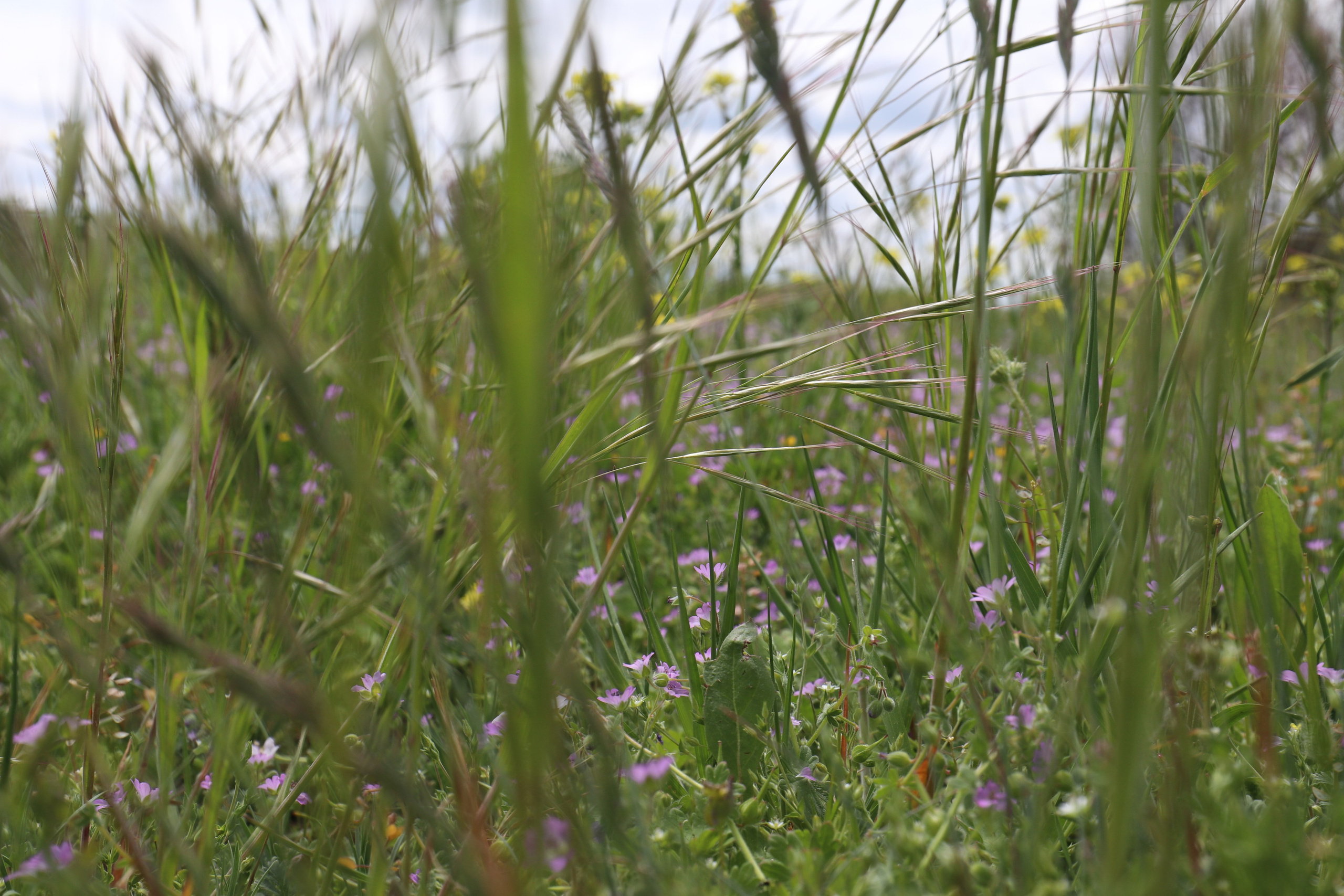 Крым. ЮБК (Бахчисарай, Демерджи, Судак). Первый скалолазный выезд. Май 2019. Путешественник-фотограф из Санкт-Петербурга Татьяна Свистулина