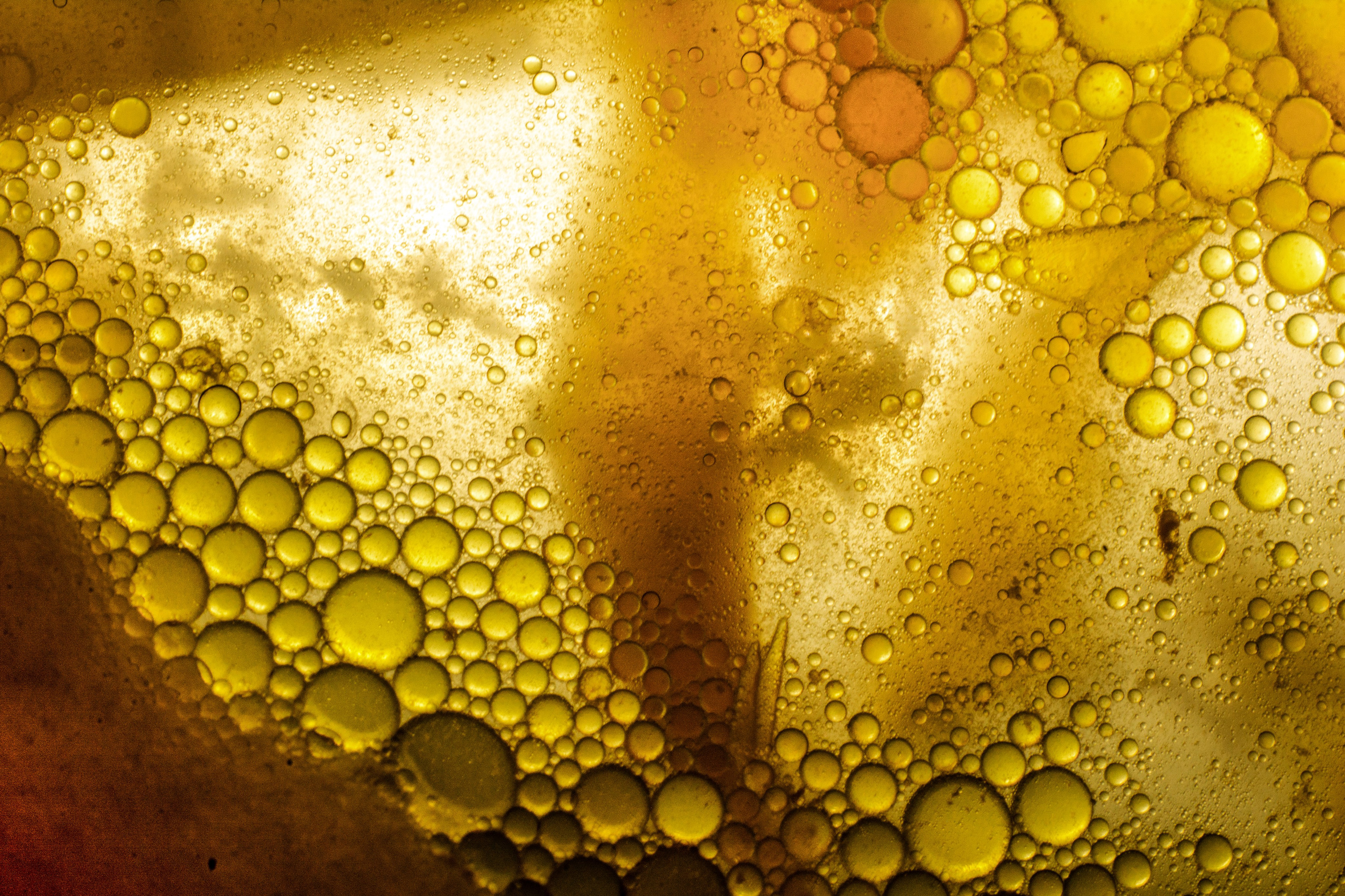 Неизведанная Вселенная. Главная