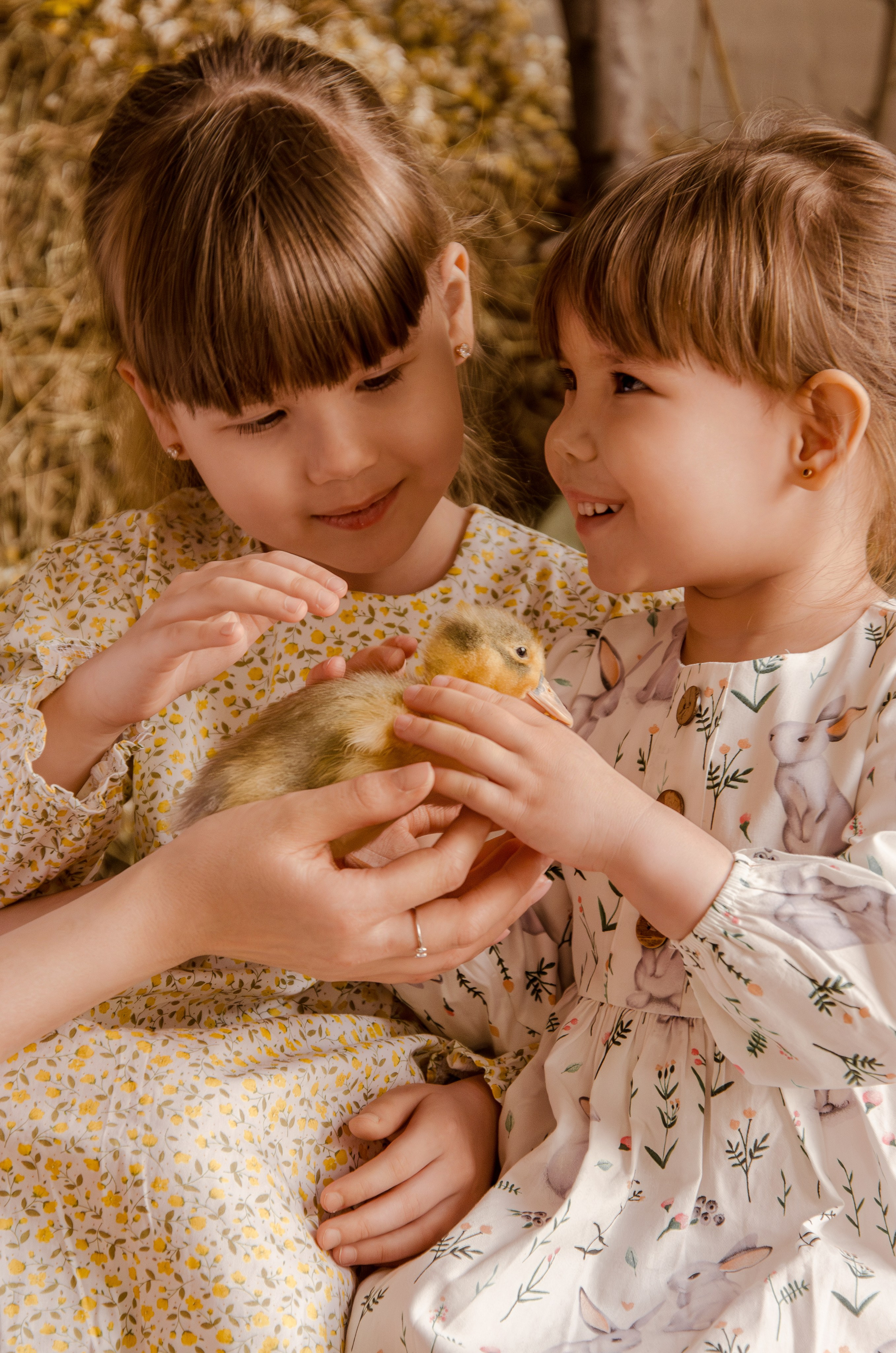 Маленькие кря-кря. Фотографы в Тюмени Андрей и Лидия Войвод