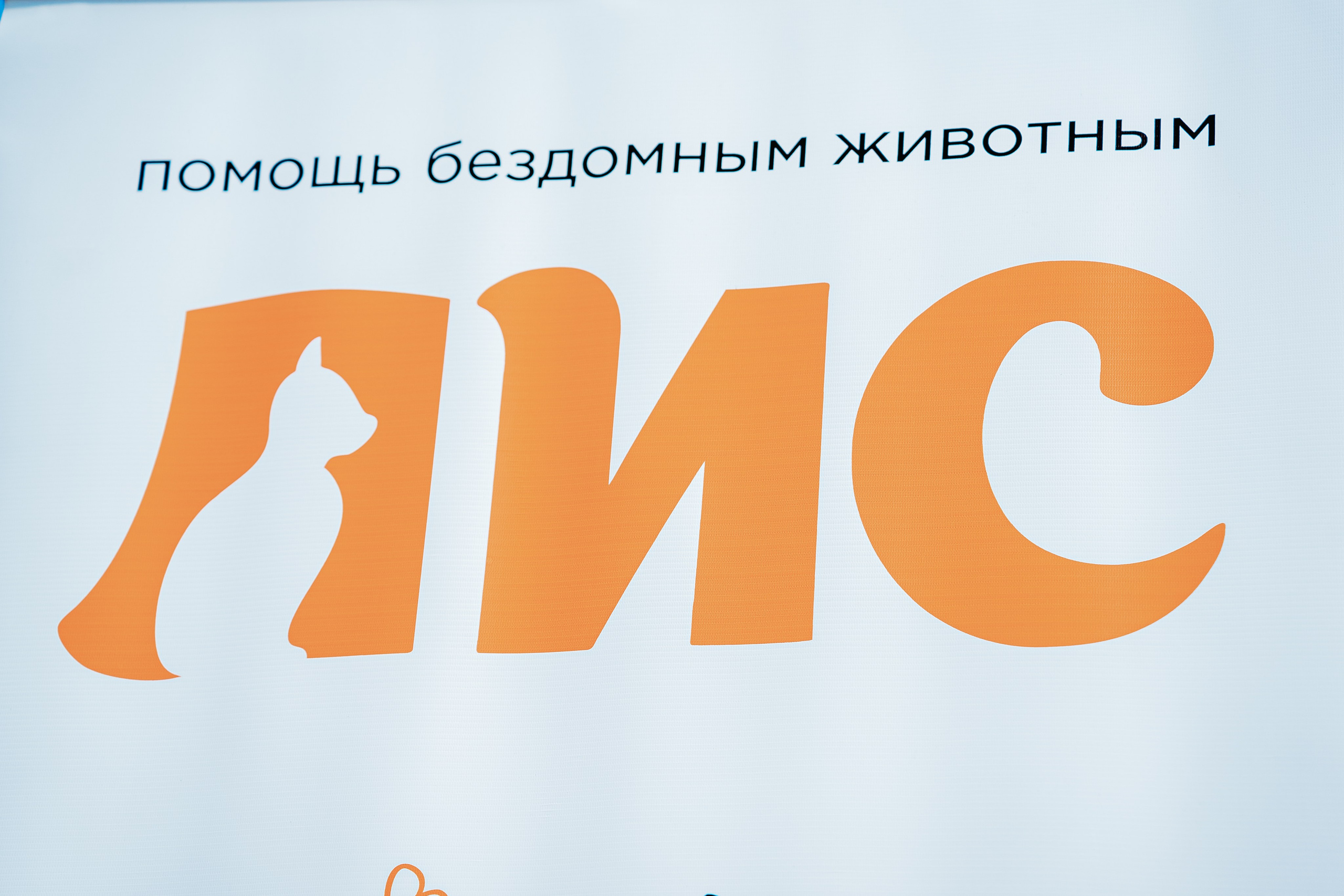 Большой фестиваль волонтёров Южного Урала, сентябрь²⁰²⁵. Репортажный фотограф в Челябинске Анастасия Хмарук