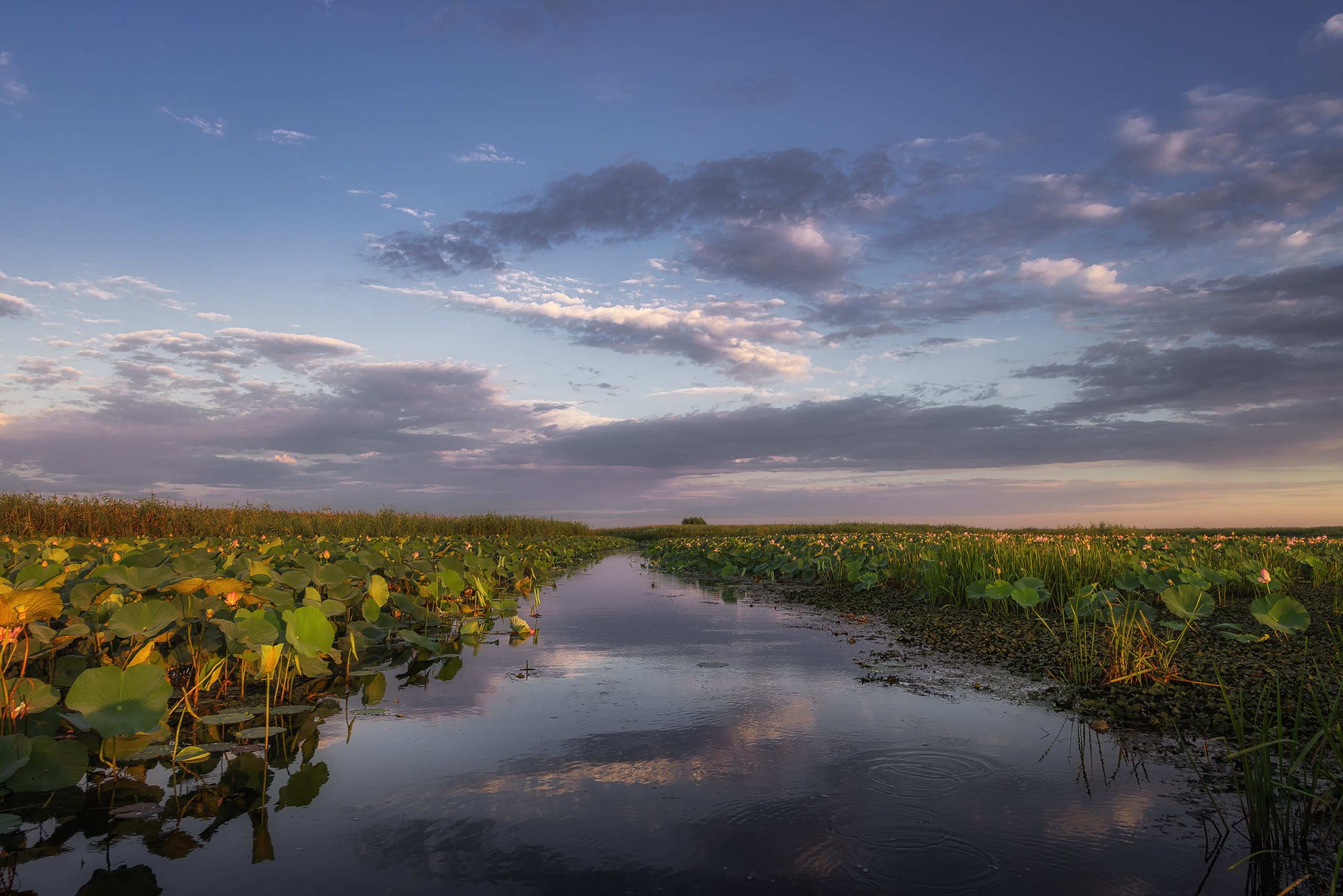 Астраханская область 2025 | Фотограф Дмитрий Купрацевич. Дмитрий Купрацевич профессиональный пейзажный и travel-фотограф