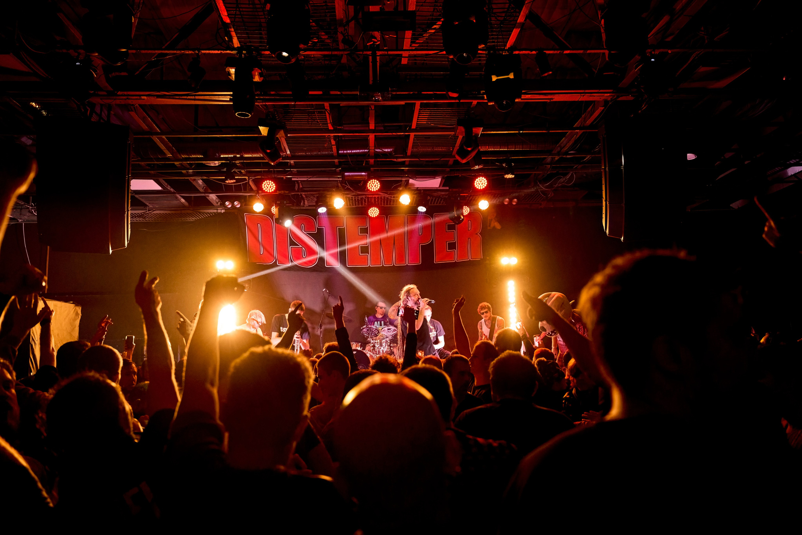 DISTEMPER / AGLOMERAT / 24.11.2023. Ekhovanov | фото- видеосъемка