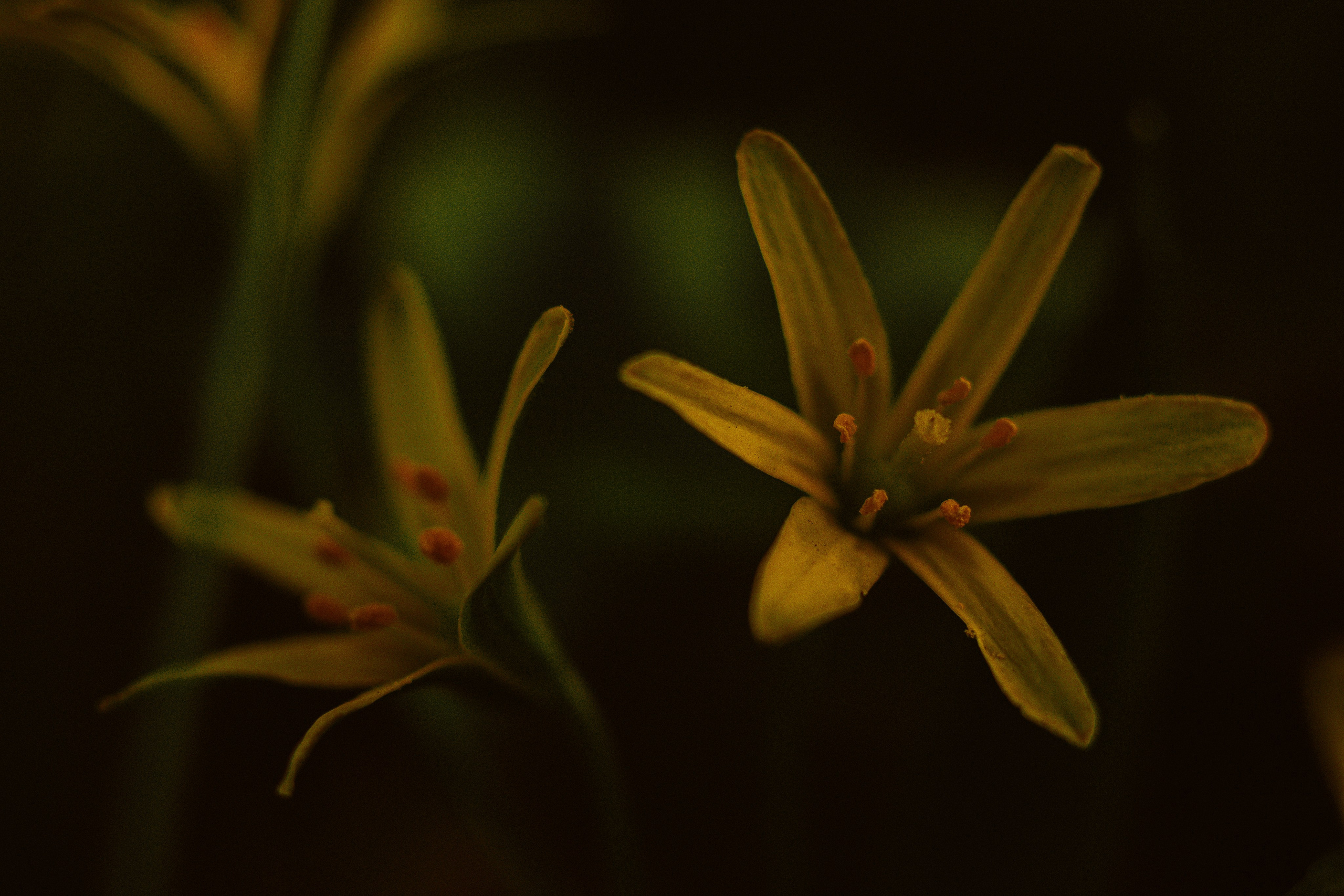 EXHIBITION. Репортажный и интерьерный фотограф, фотохудожник