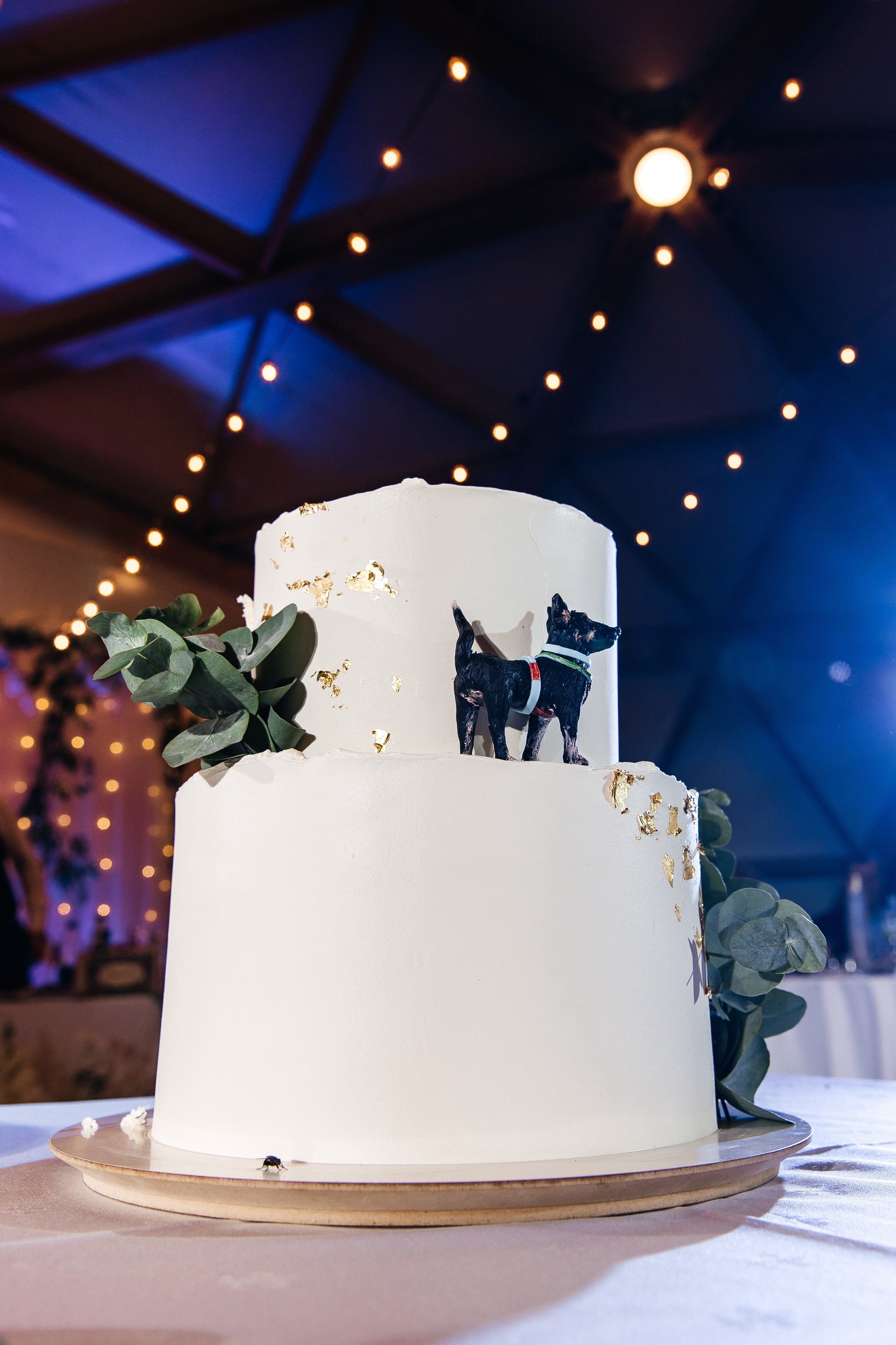 Max & Veronika. Свадебный фотограф в Москве Виктория Арехова