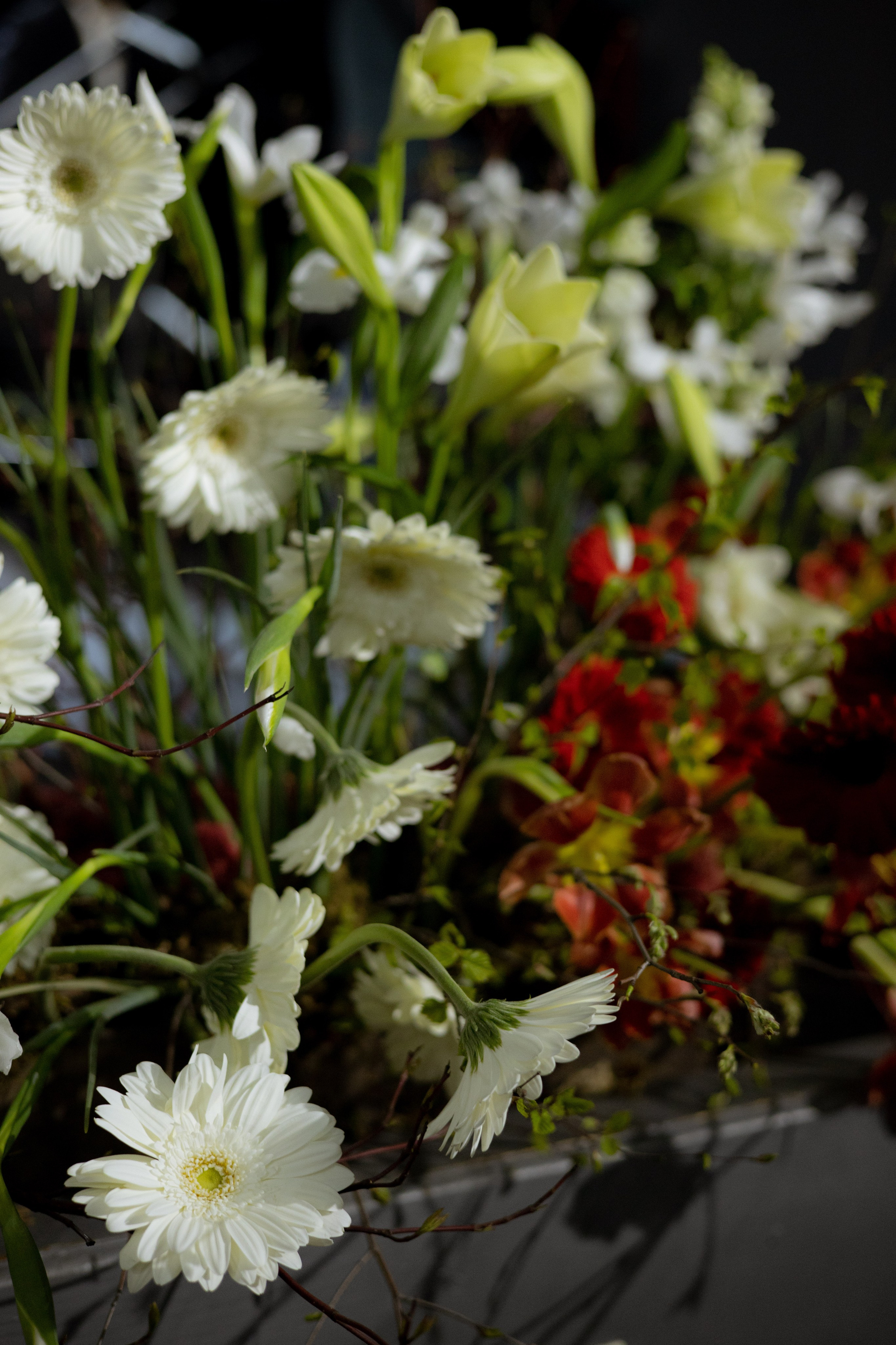 Оформление Отчетного концерта Музыкальной школы Глазунова. Оформление свадеб, декор свадеб Вера Маркова, Москва