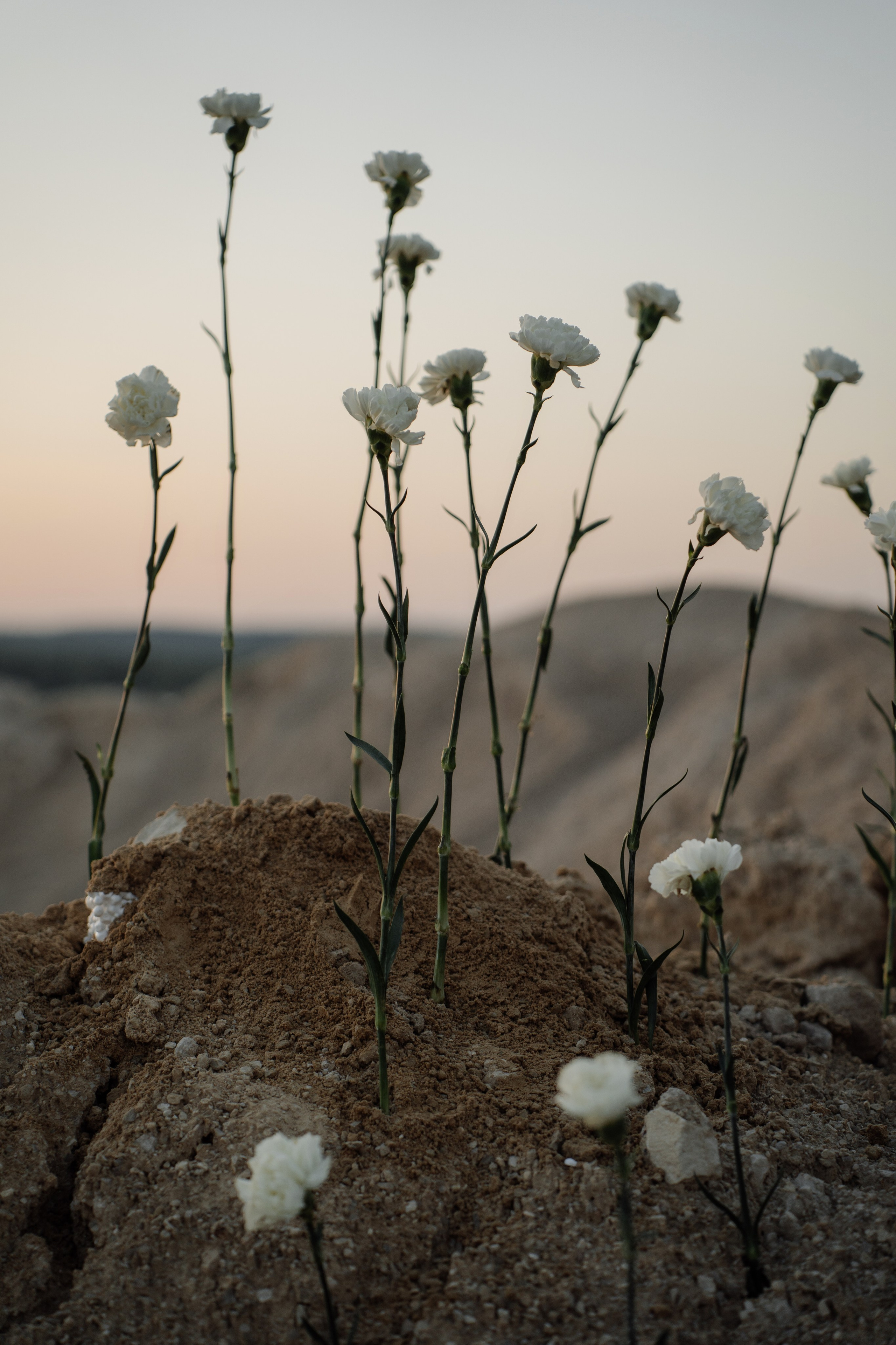 Карьер. Свадебный фотограф Тольятти Москва Адамова Виктория