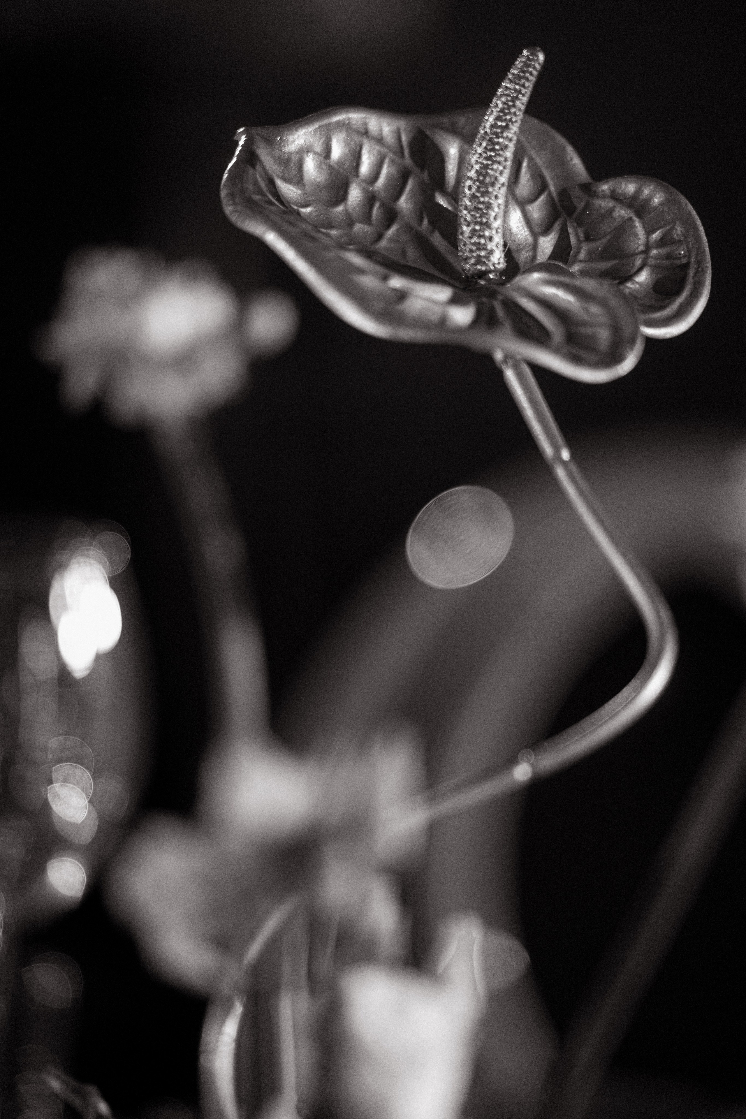 05/07/2025. Фотограф Томск, Новосибирск Влад Свириденко