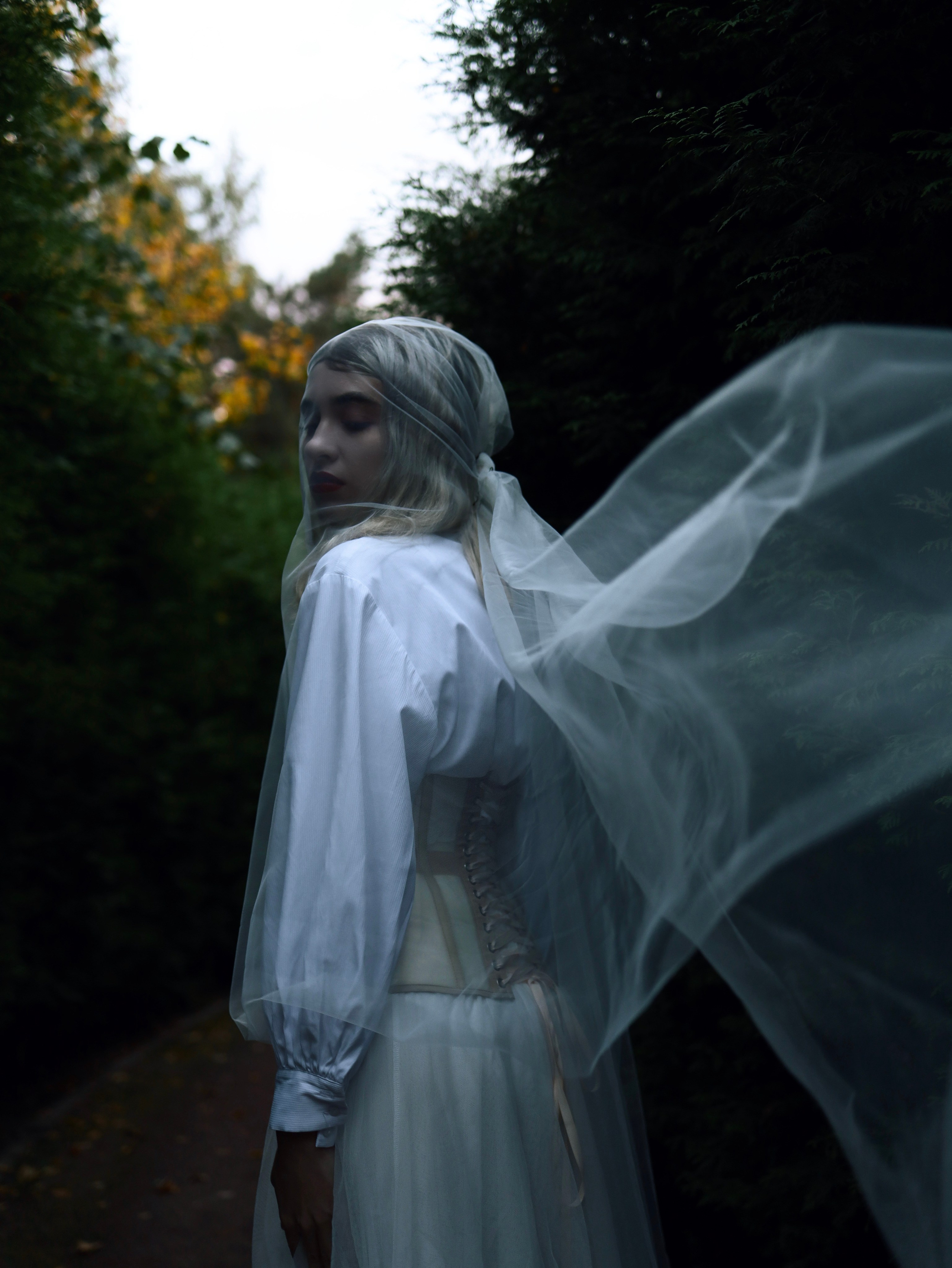 Алиса В Стране Чудес. Главная